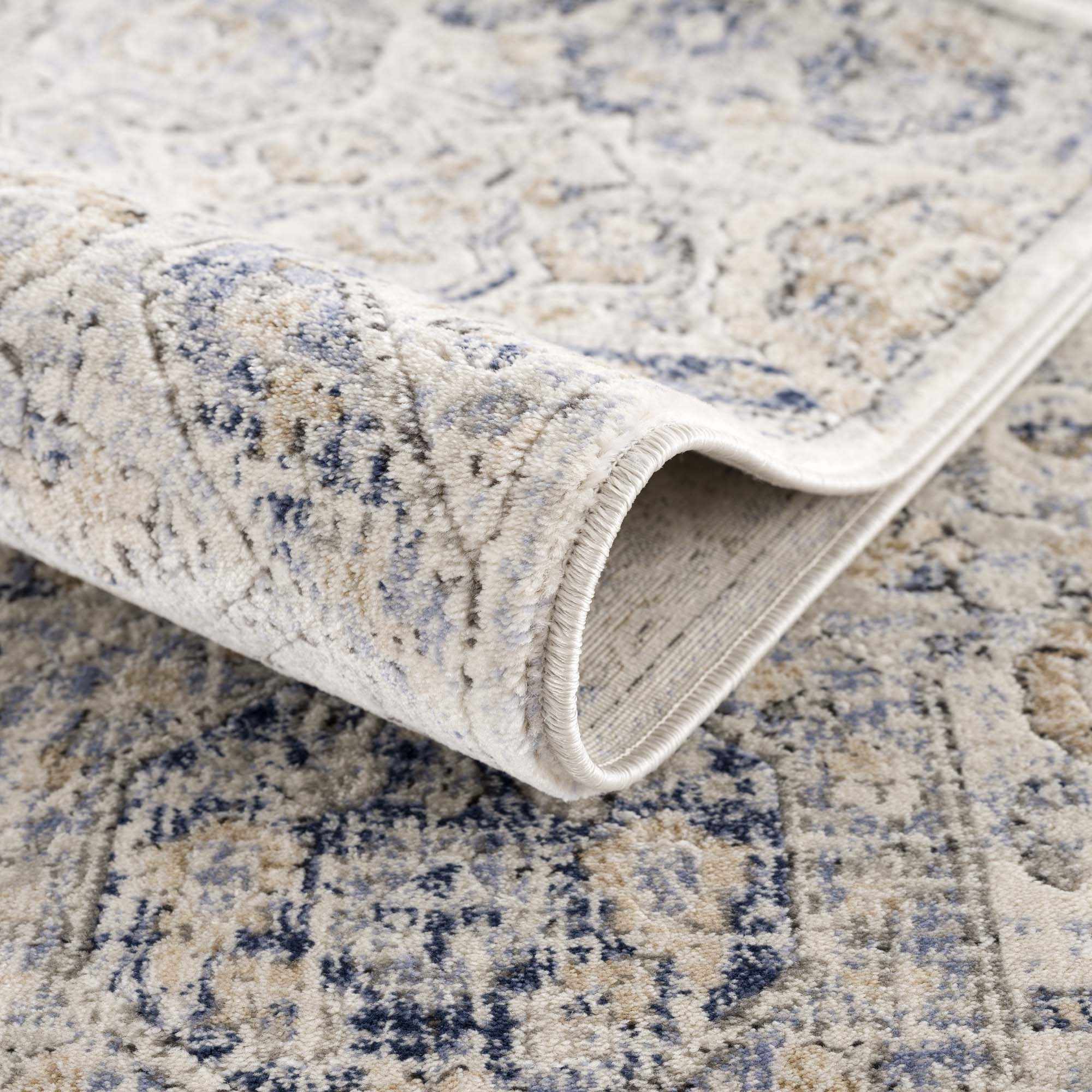 Brevity Area Rug  Traditional Machine Woven  Medium Pile