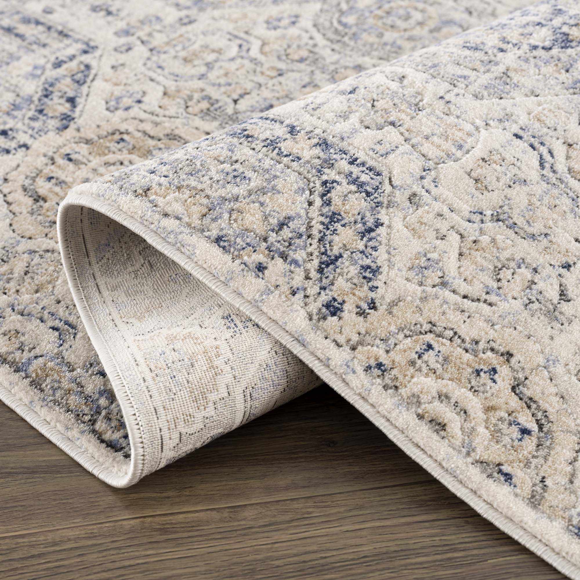 Brevity Area Rug  Traditional Machine Woven  Medium Pile