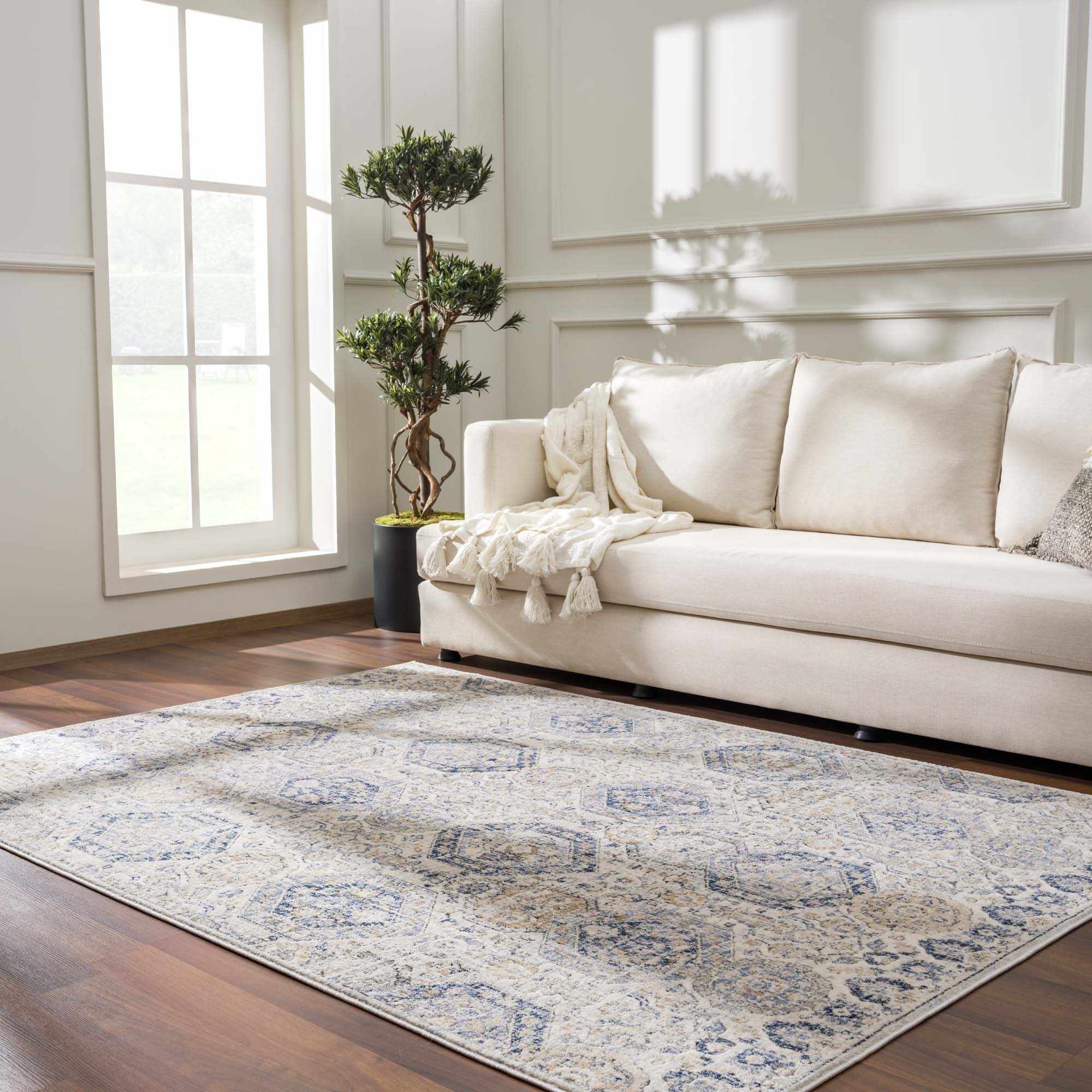 Brevity Area Rug  Traditional Machine Woven  Medium Pile