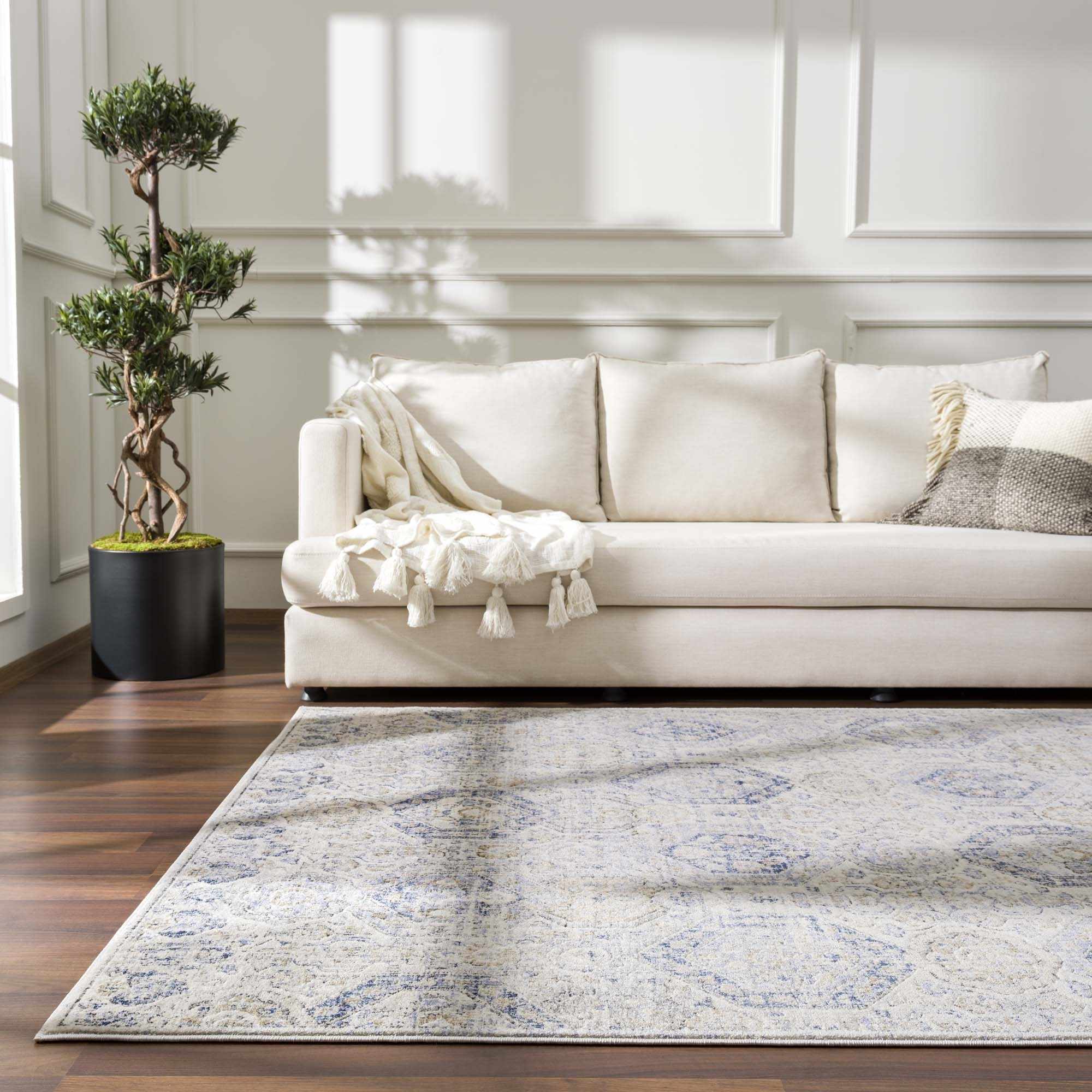Brevity Area Rug  Traditional Machine Woven  Medium Pile