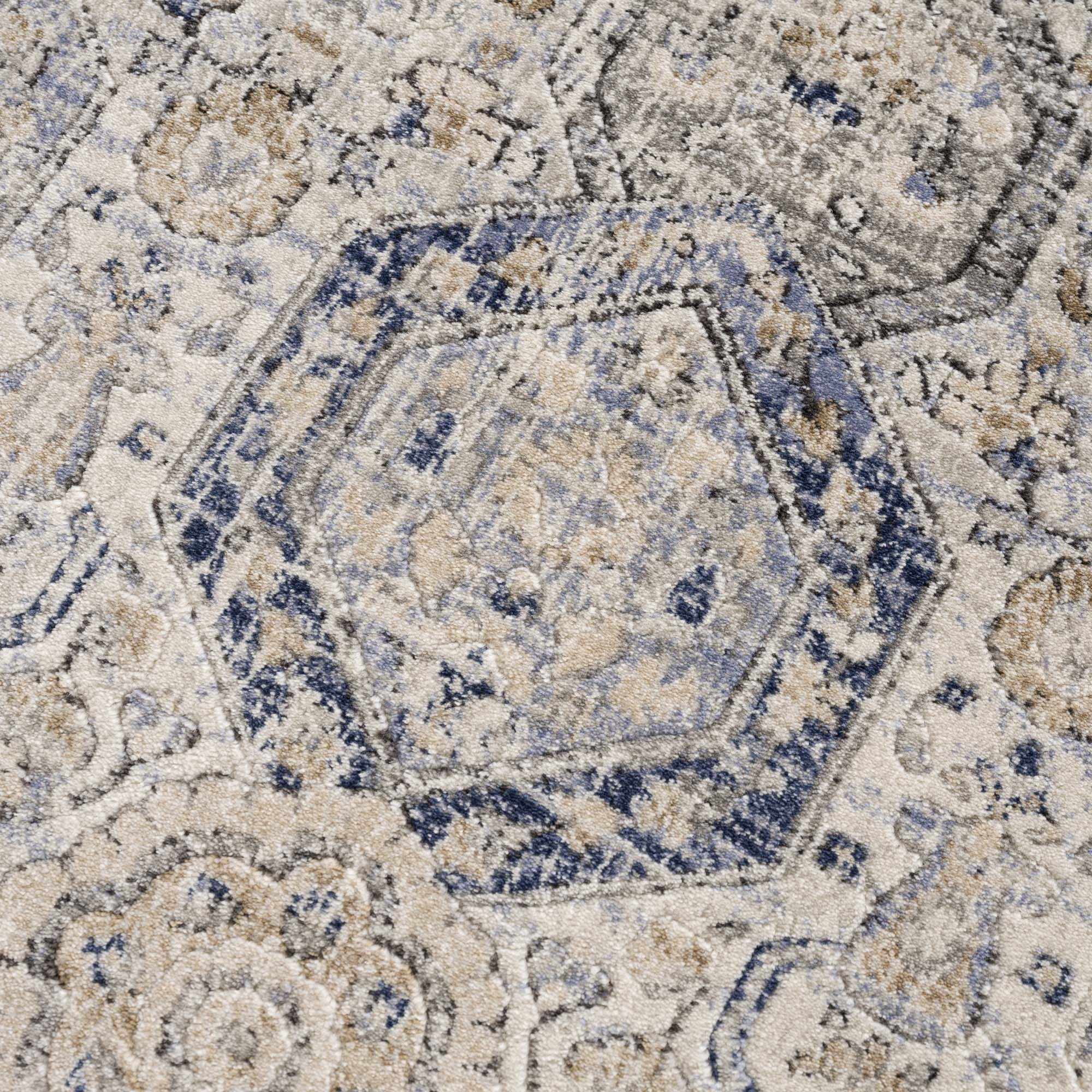 Brevity Area Rug  Traditional Machine Woven  Medium Pile