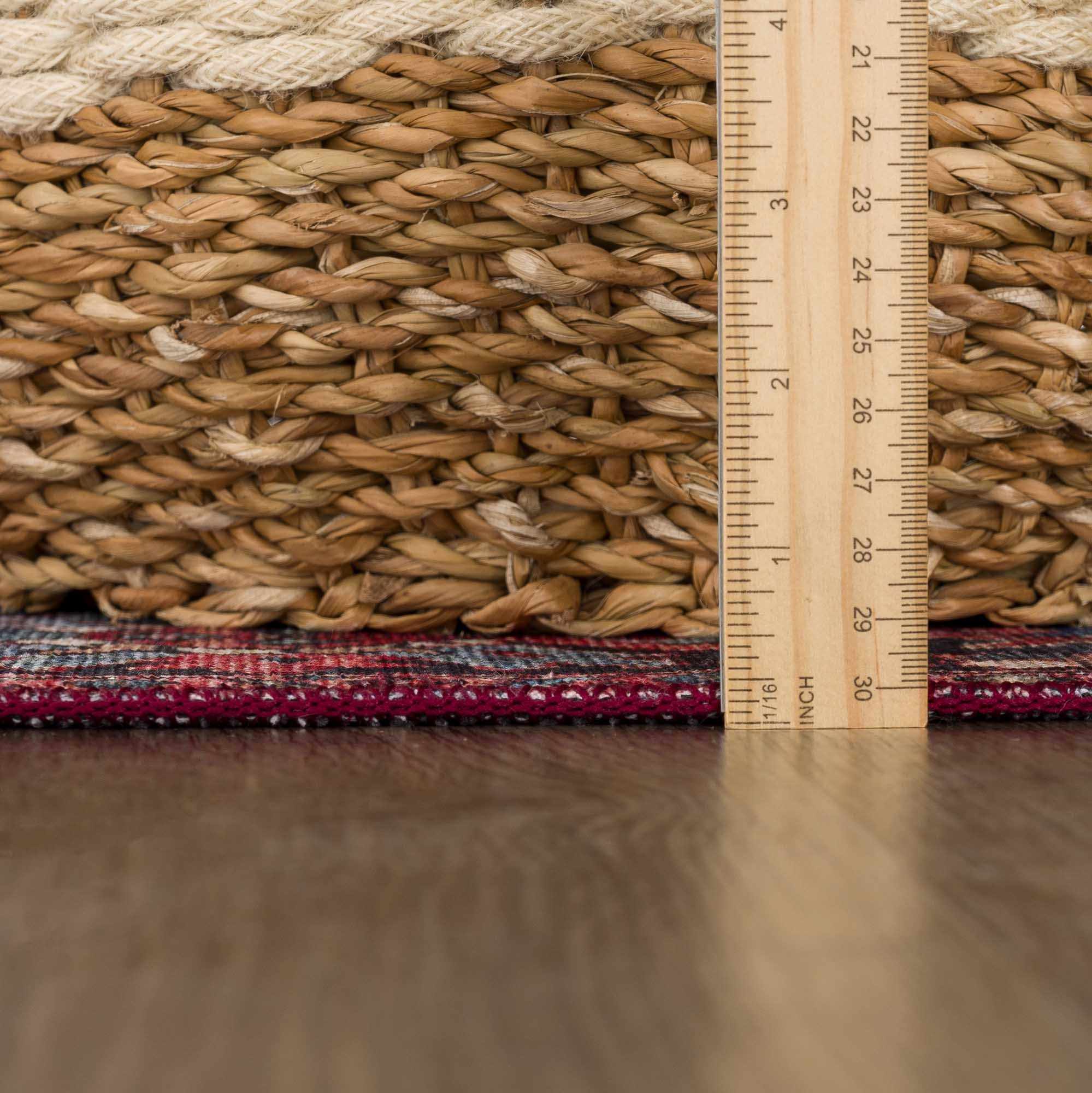 Nexis Area Rug  Machine Woven  Traditional Style  100% Polyester