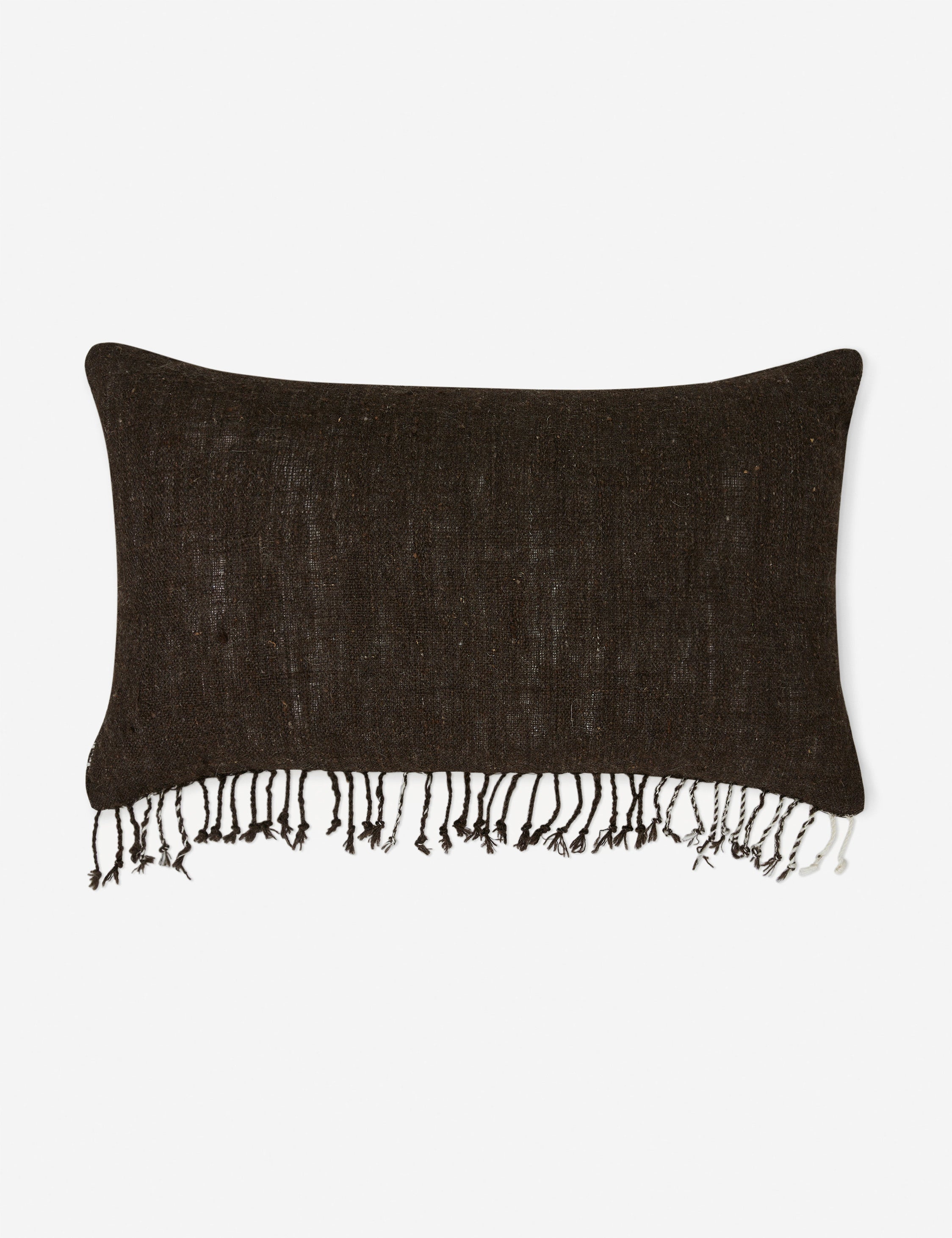 Kavi Throw Pillow | Hand Loomed Desi Wool, Geometric Patterns