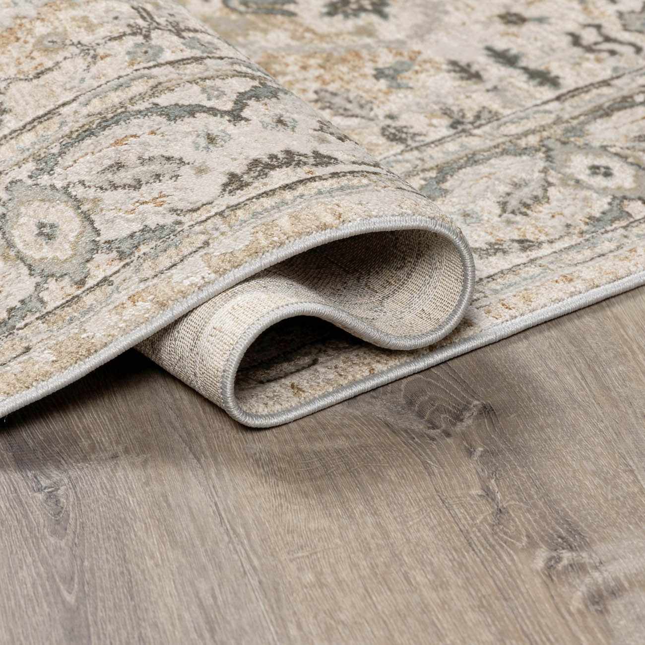 Brixton Boutique Rug  Medium Pile, Machine Woven, Traditional Style