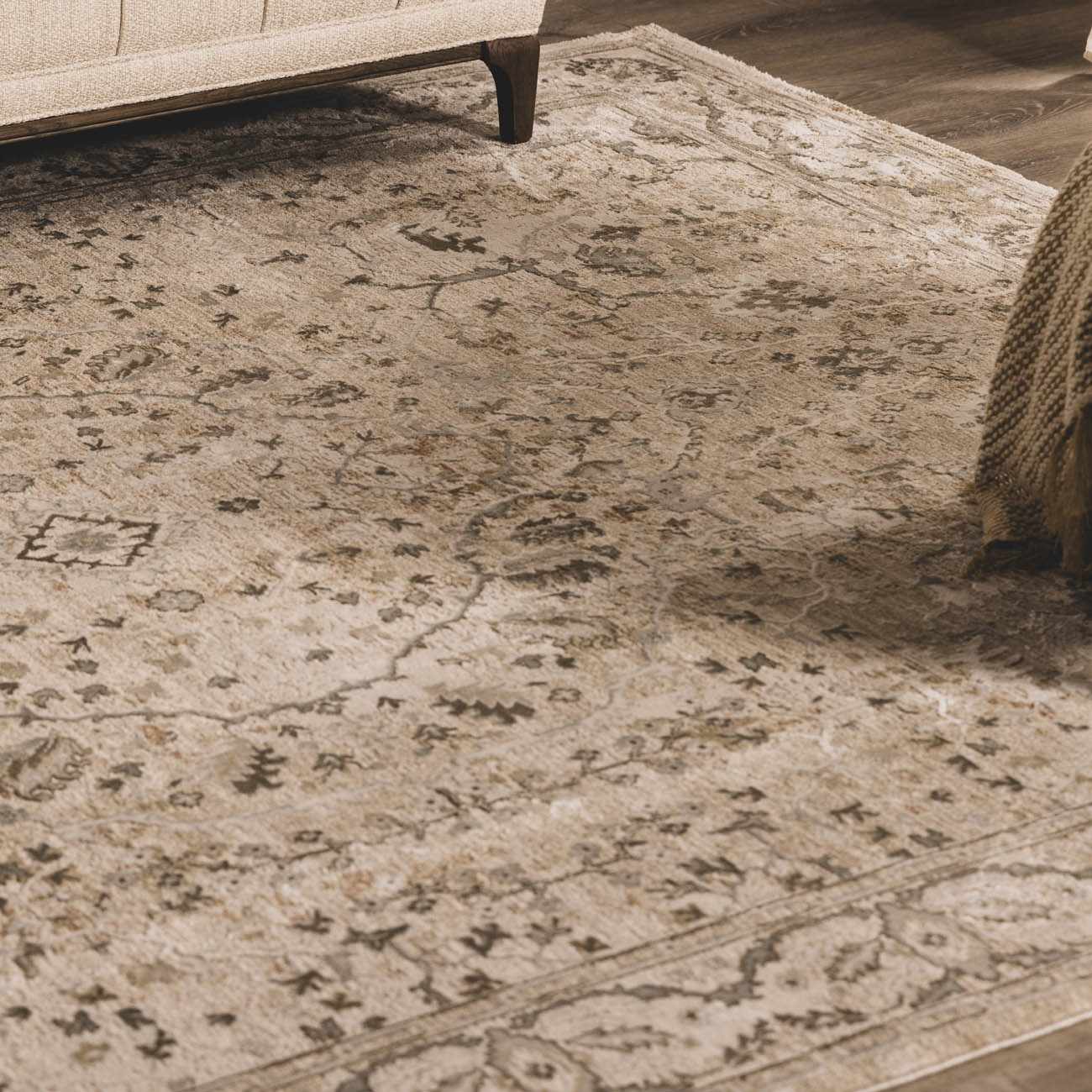 Brixton Boutique Rug  Medium Pile, Machine Woven, Traditional Style