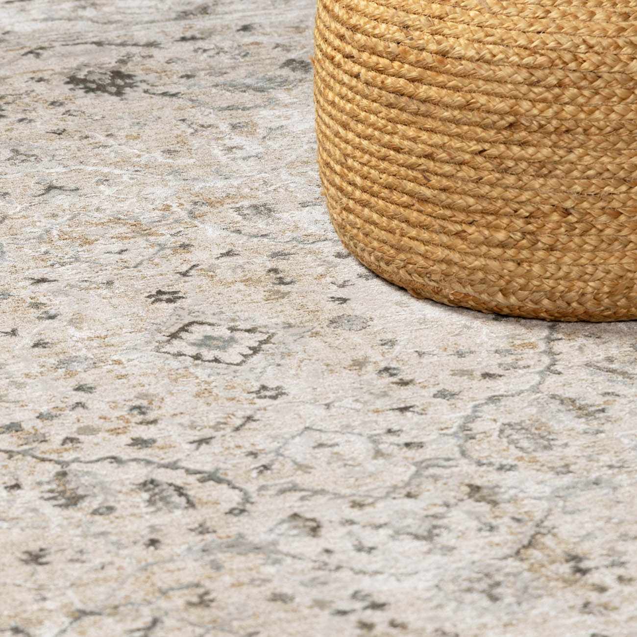 Brixton Boutique Rug  Medium Pile, Machine Woven, Traditional Style