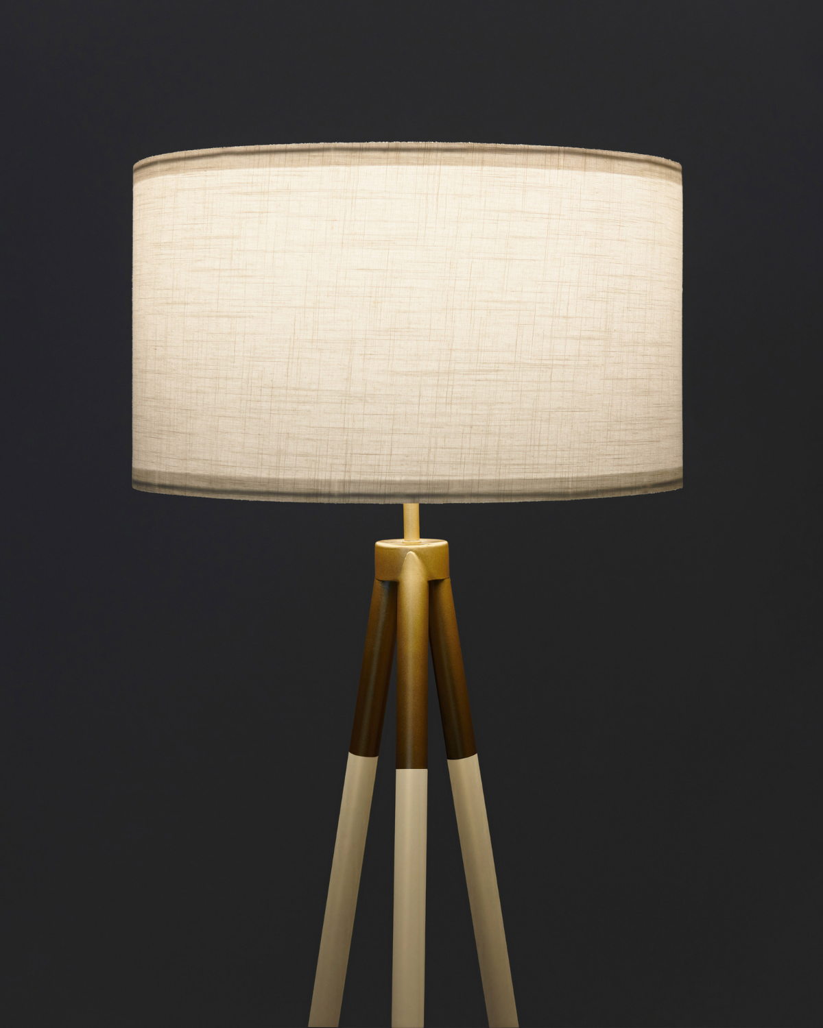 Luxe Floor Lamp | Black & Gold, Smart Home-Compatible