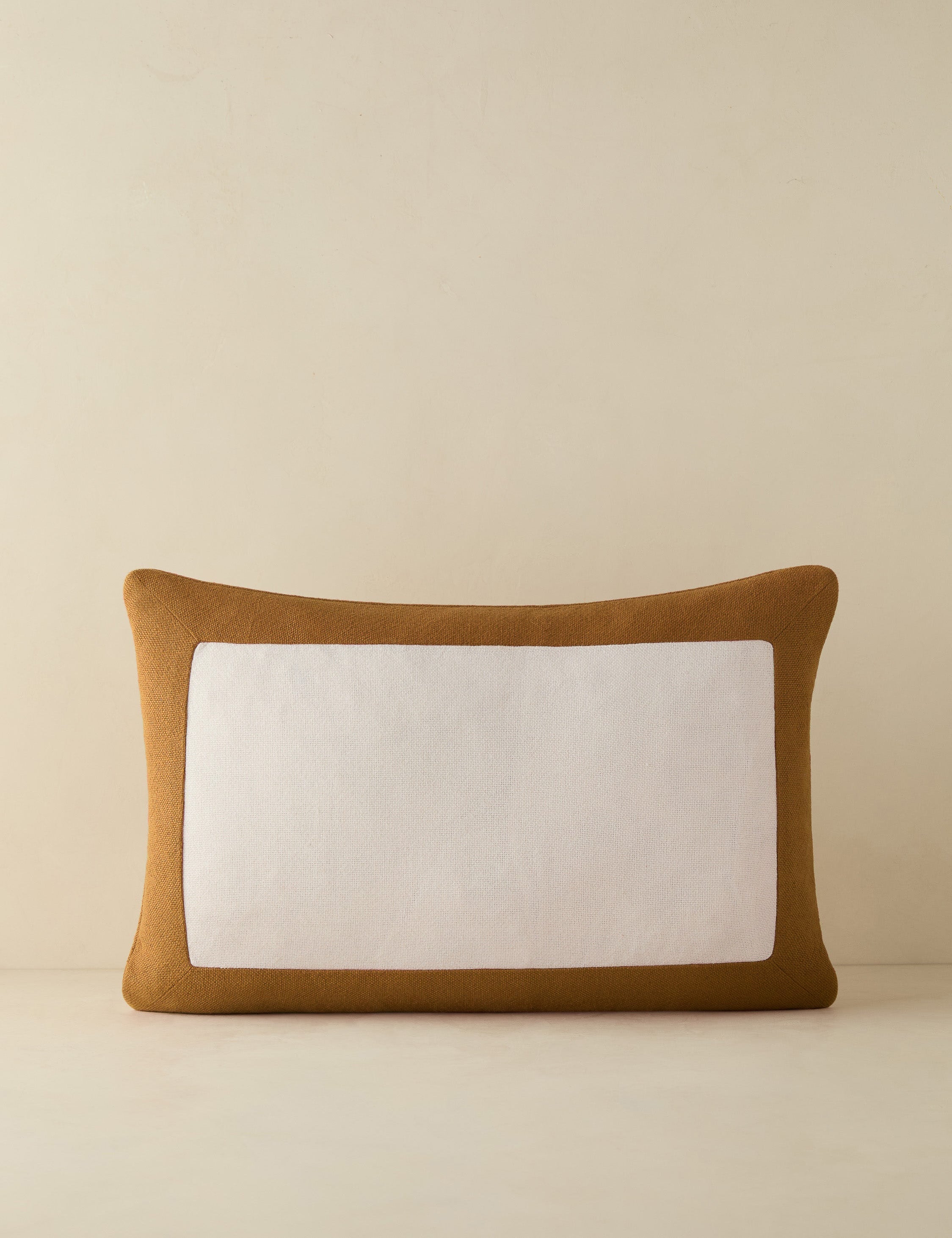 Amica Outdoor Pillow | Colorful Border, Antique White Center