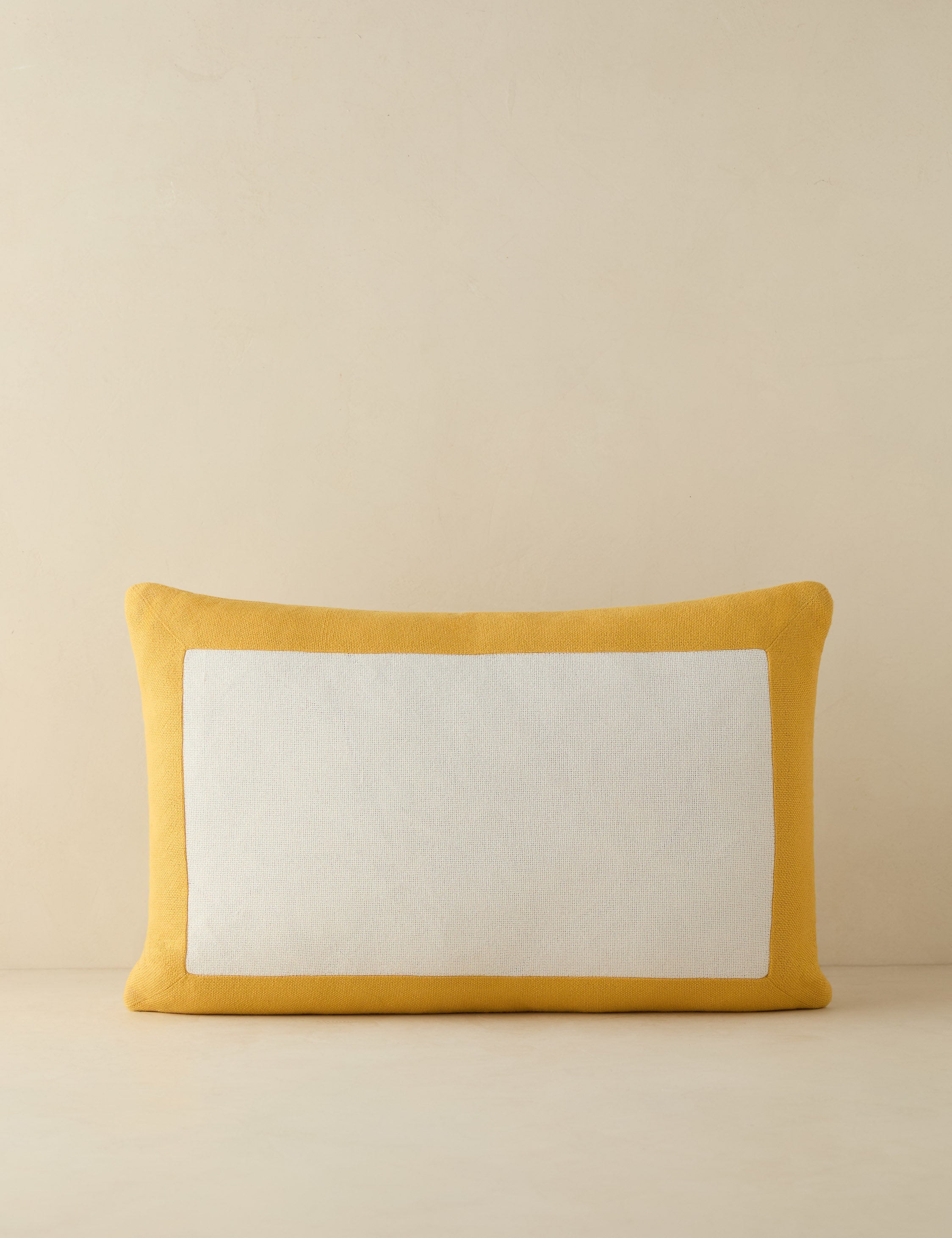 Amica Outdoor Pillow | Colorful Border, Antique White Center