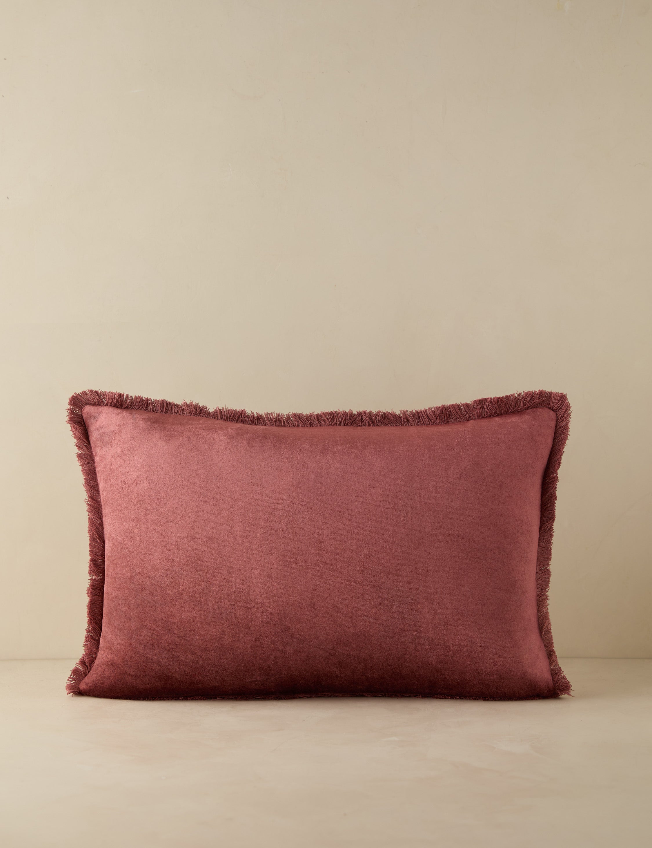 Brio Velvet Pillow | Cozy Rich Fabric, Tailored Details