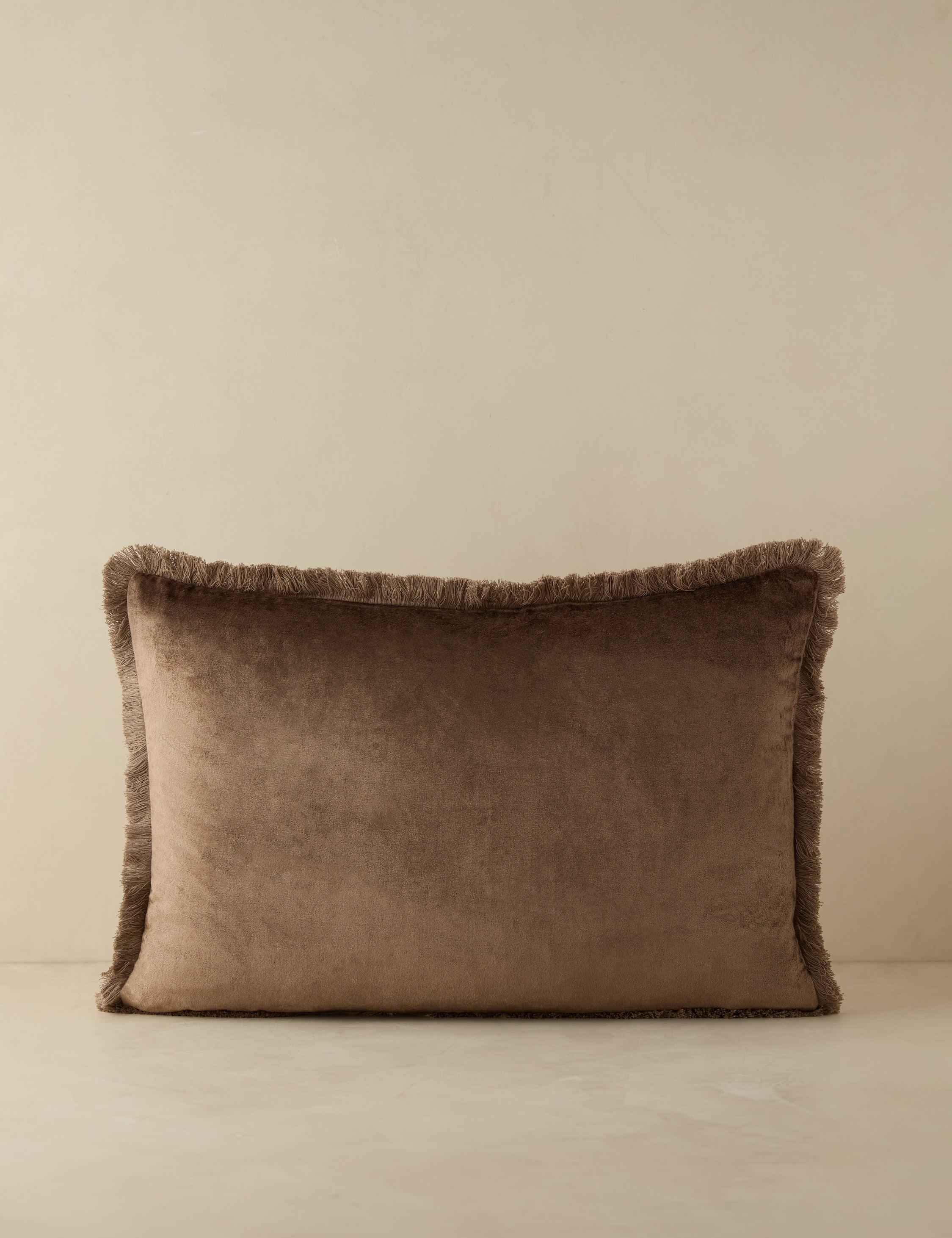 Brio Velvet Pillow | Cozy Rich Fabric, Tailored Details
