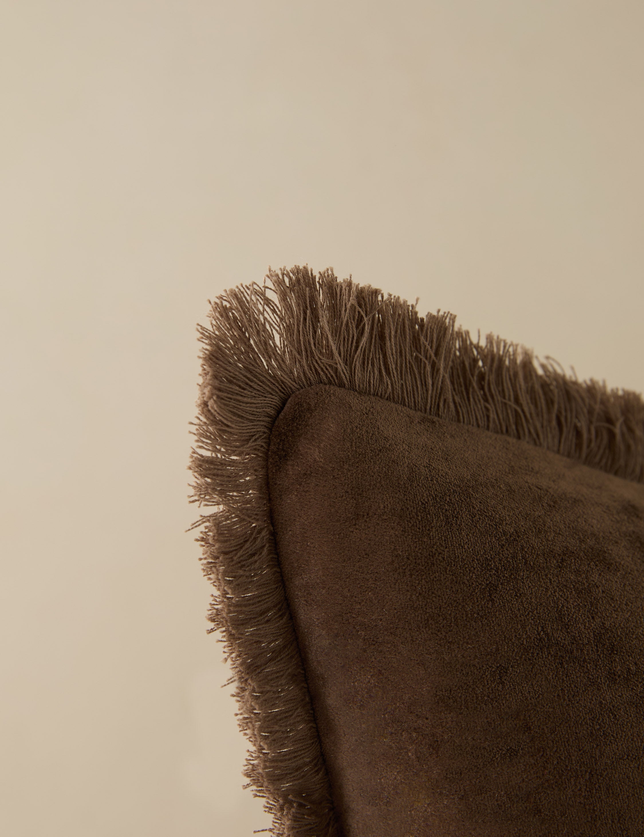 Brio Velvet Pillow | Cozy Rich Texture, Tailored Design