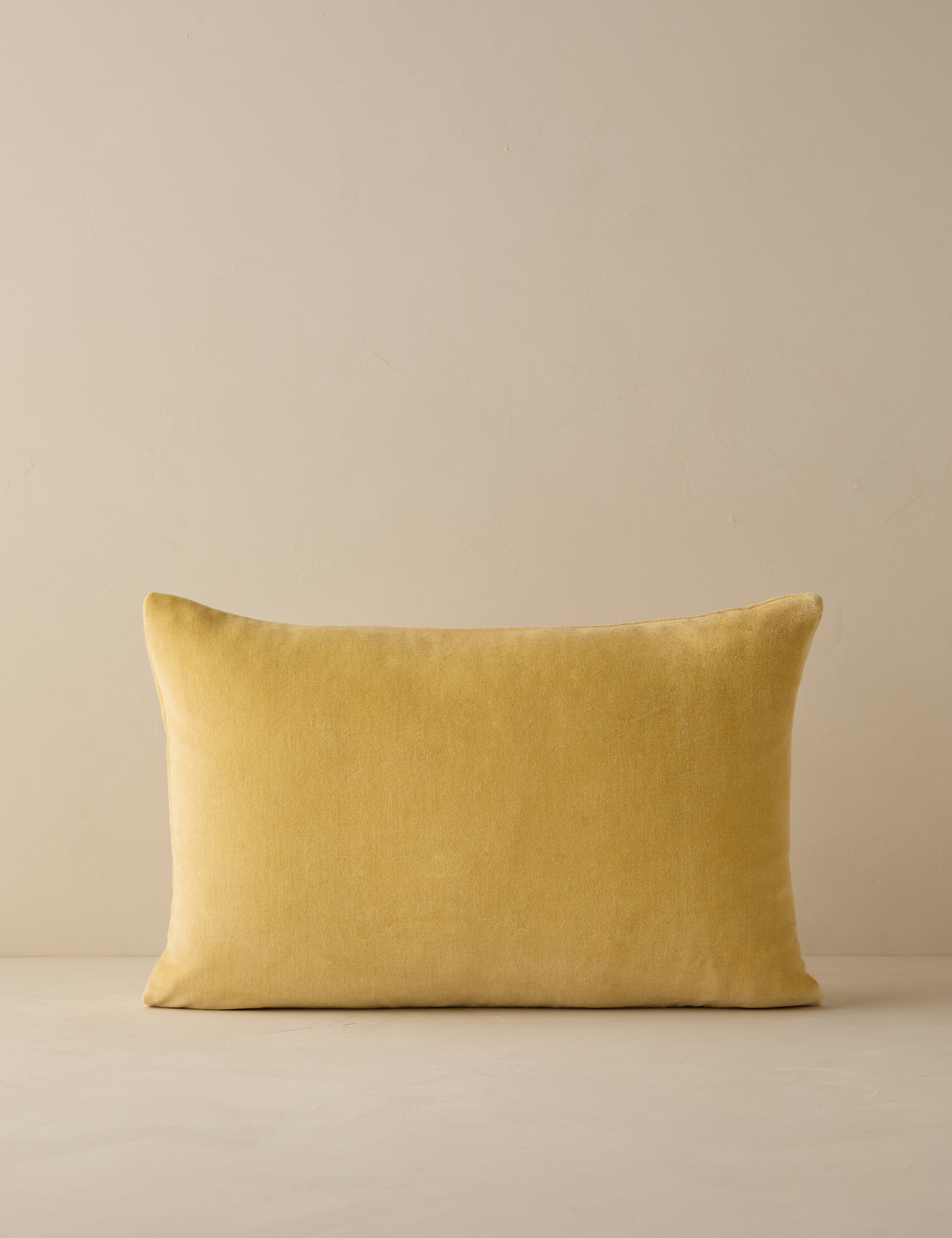 Charlotte Velvet Pillow
