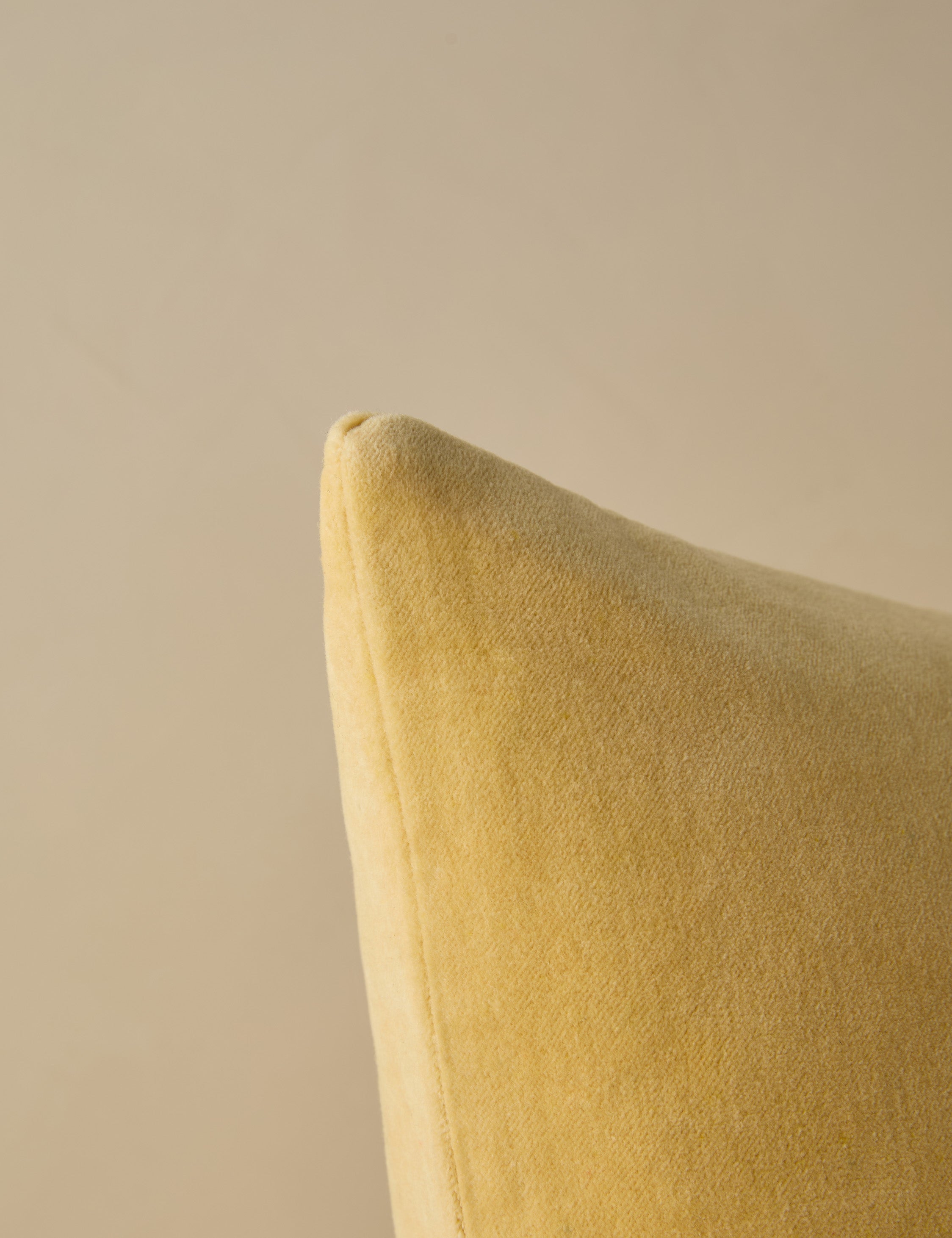 Charlotte Velvet Pillow