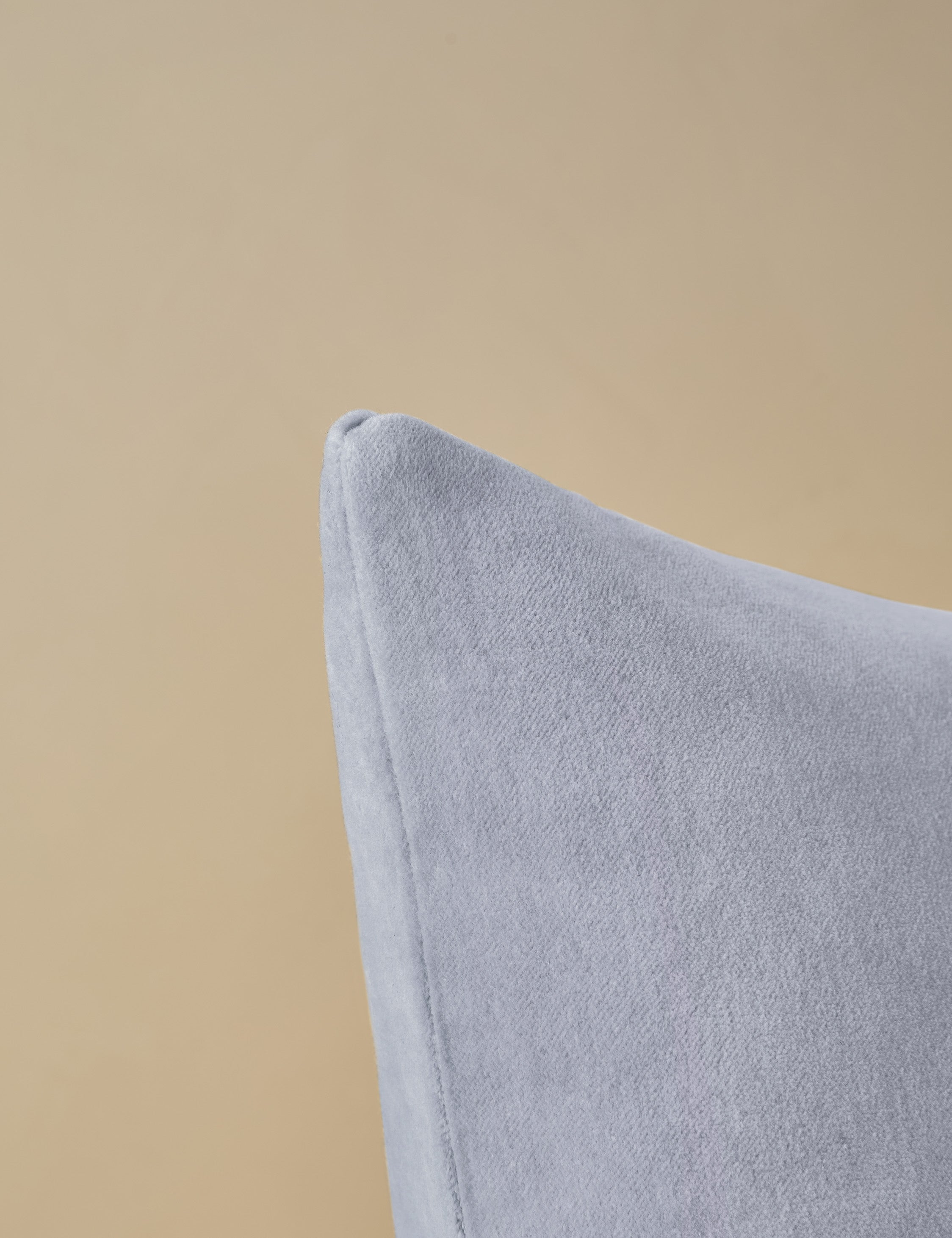 Charlotte Velvet Pillow