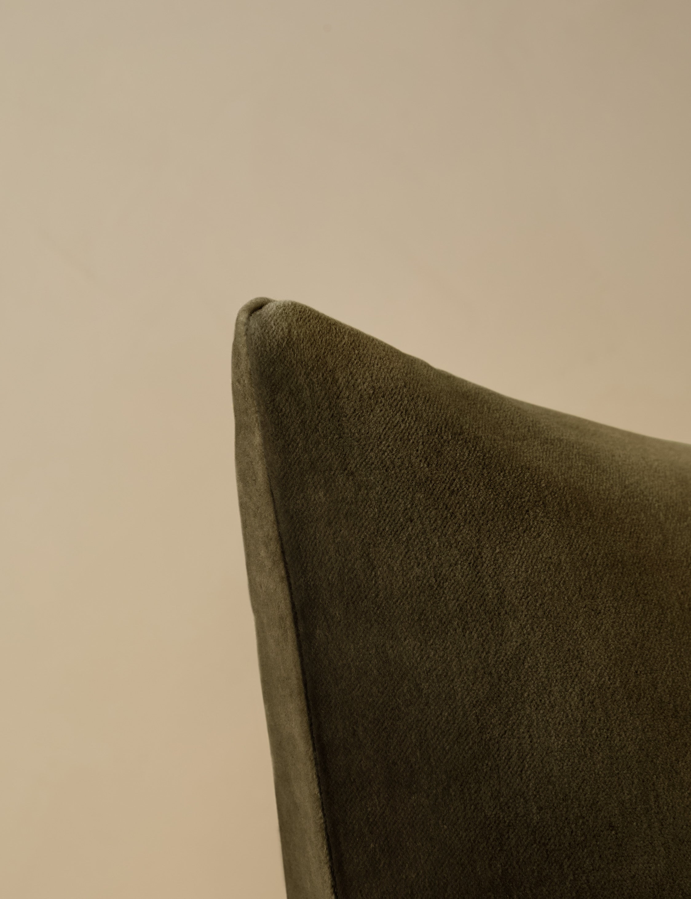Charlotte Velvet Pillow