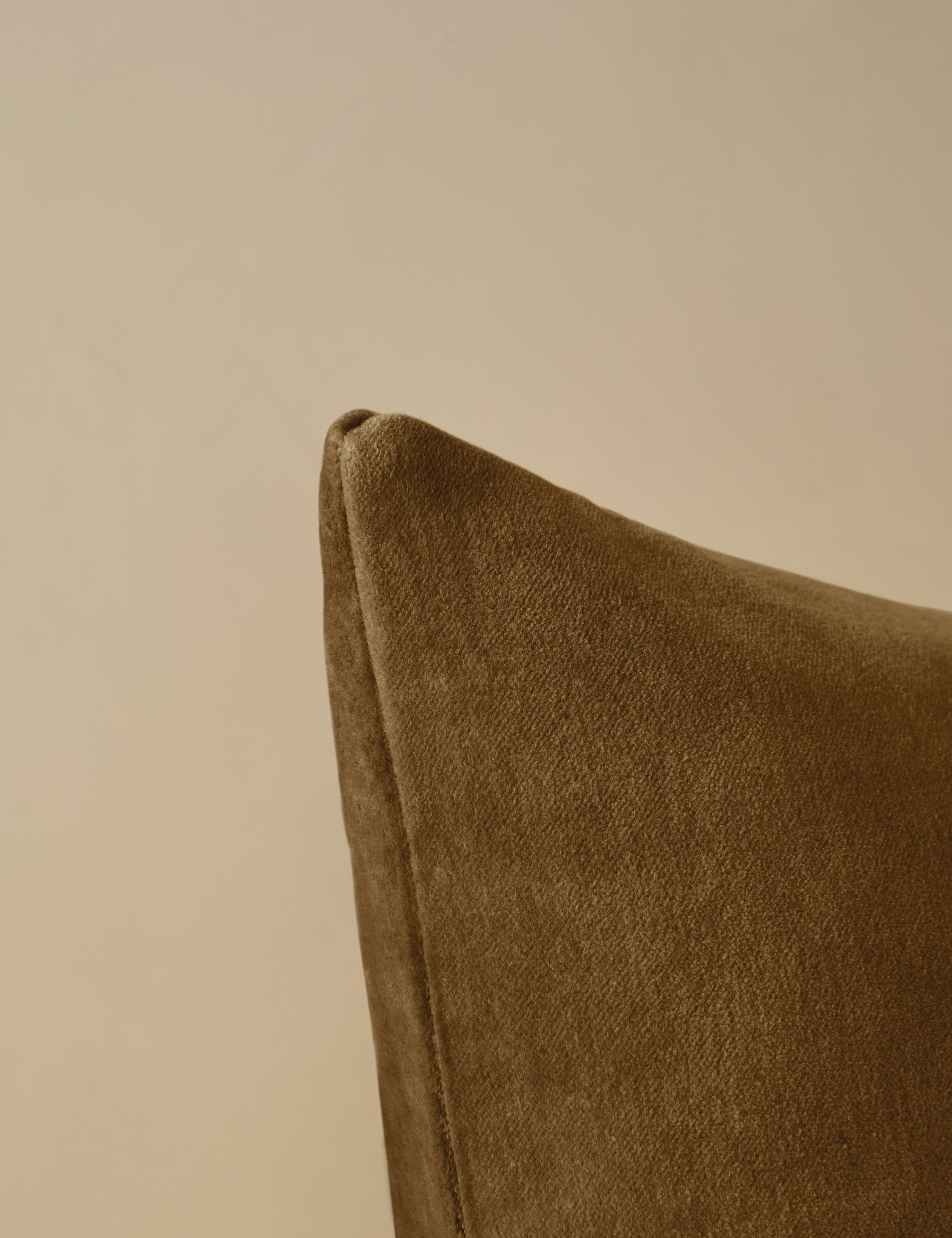 Charlotte Velvet Pillow