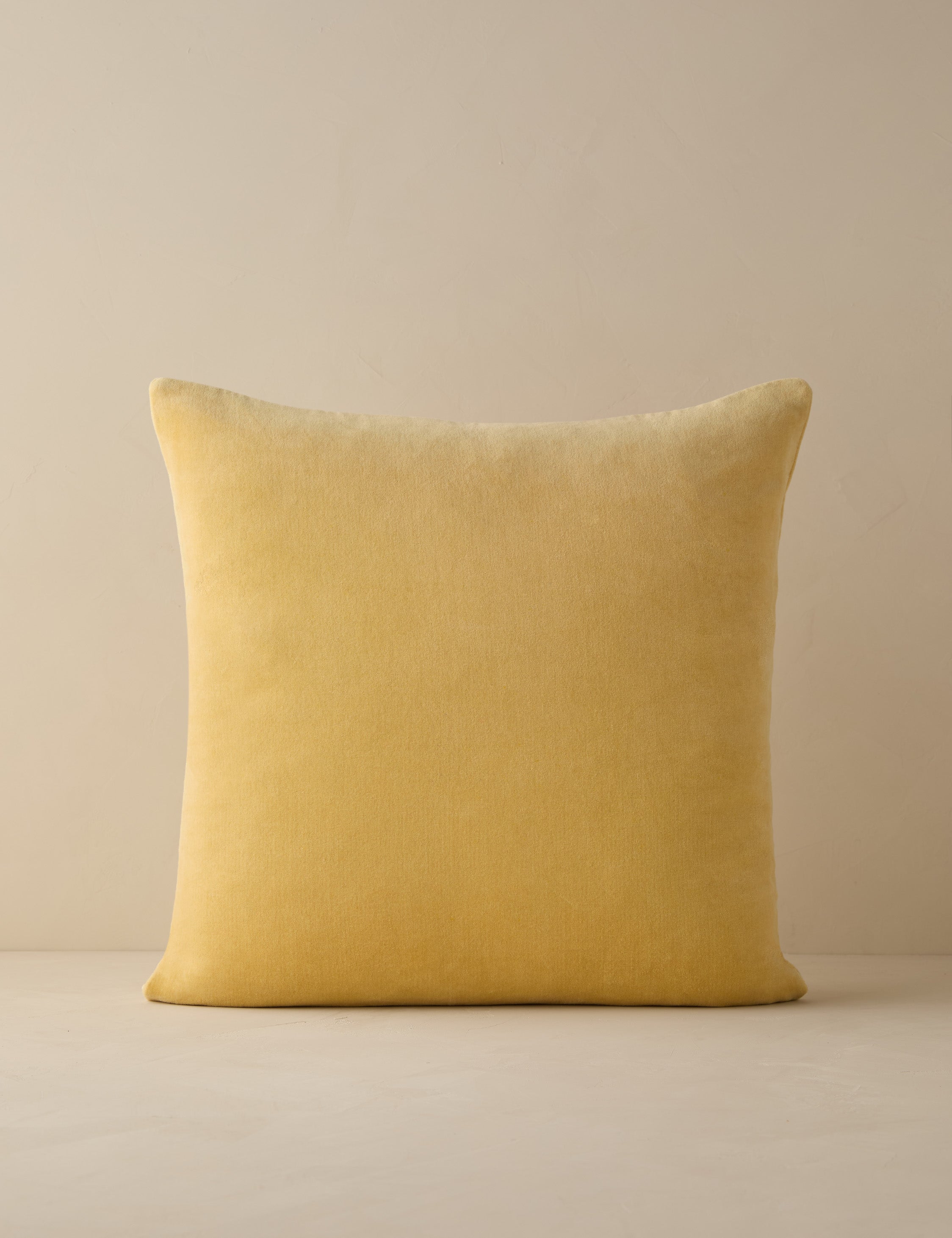 Charlotte Velvet Pillow
