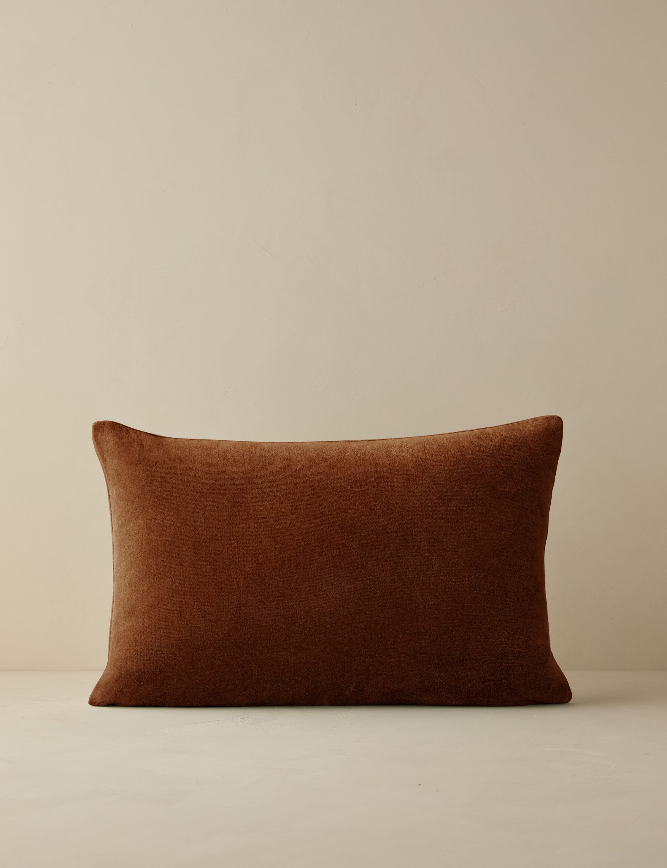 Charlotte Velvet Pillow