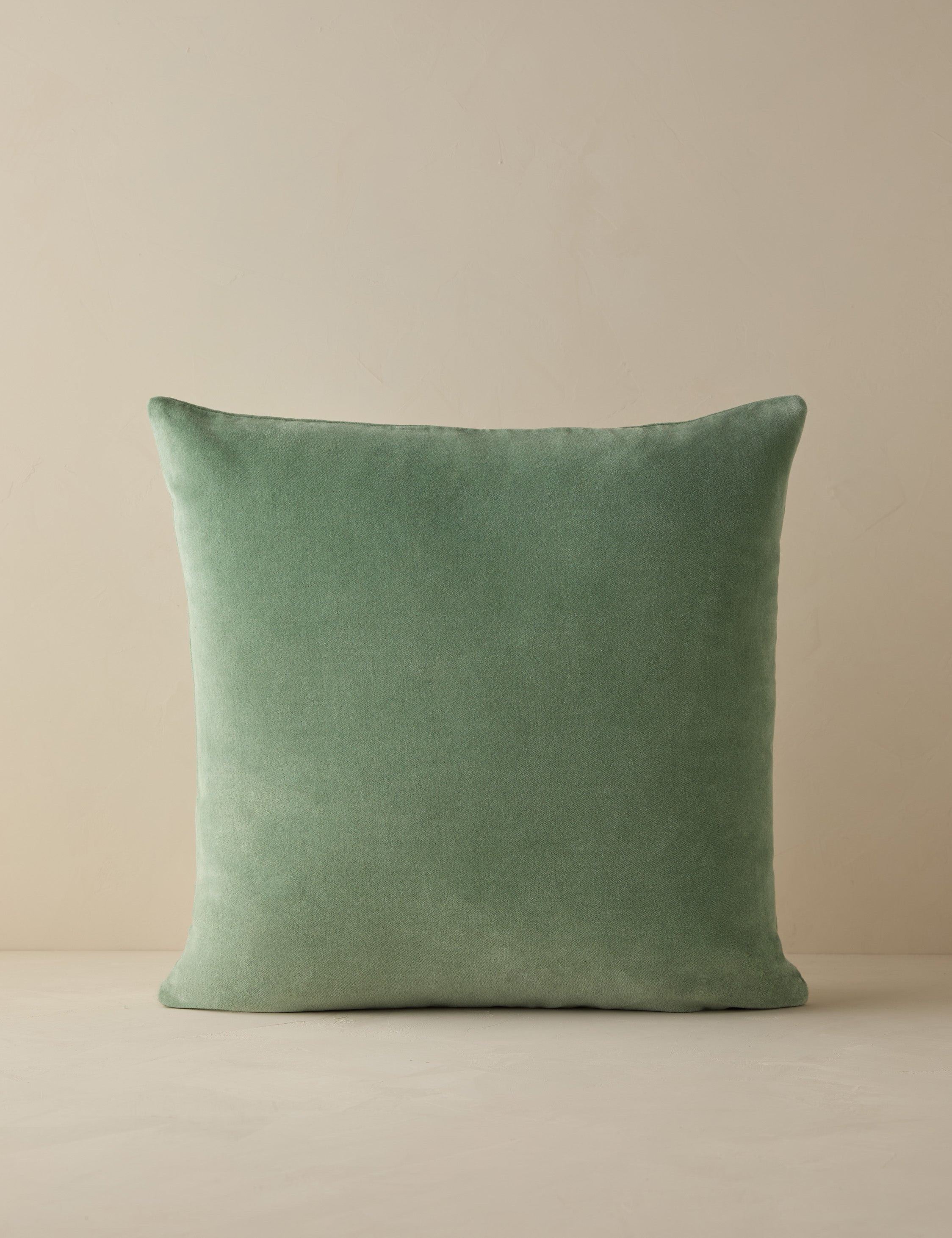 Charlotte Velvet Pillow