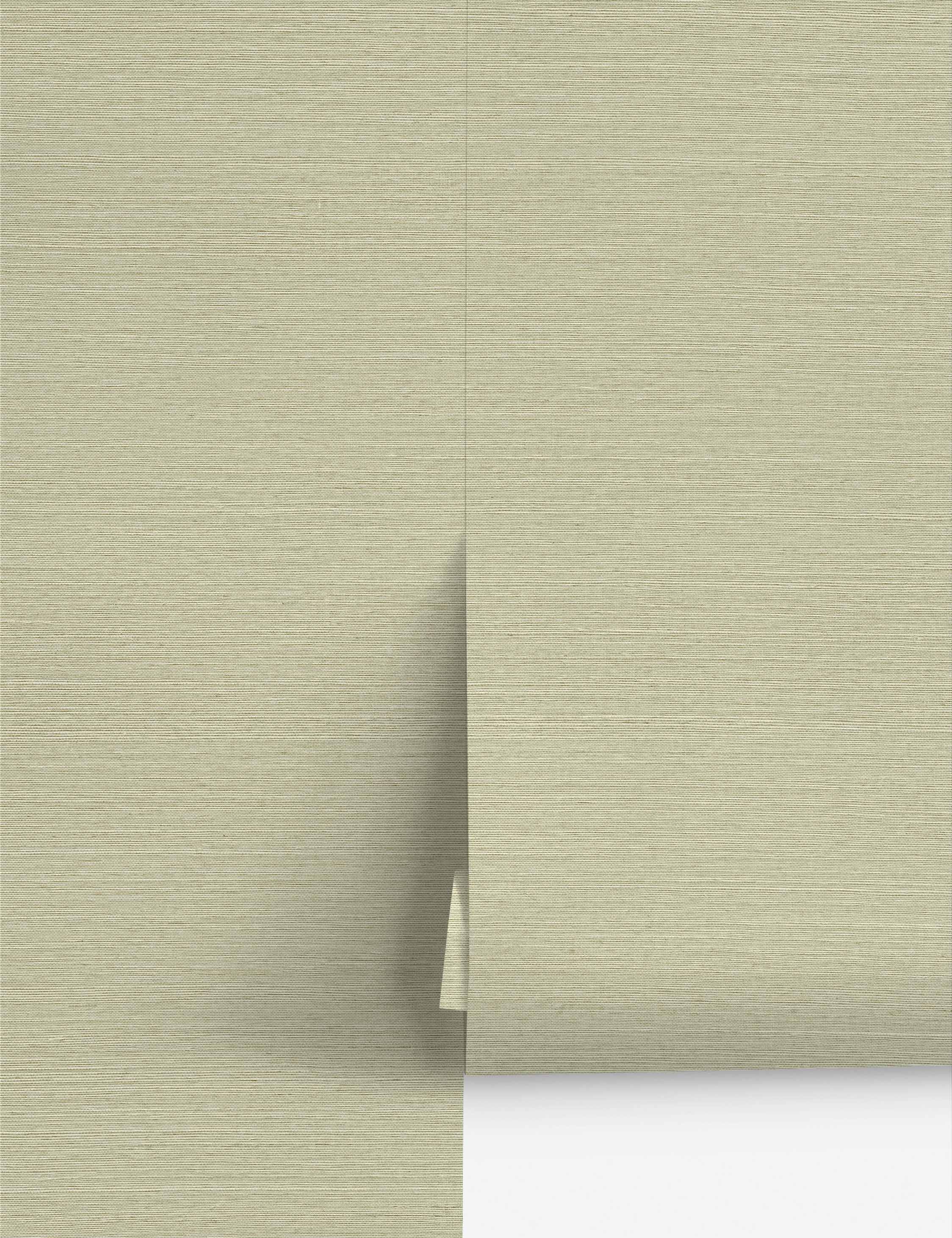 Bela Grasscloth Wallpaper | Woven Texture, Modern Palette
