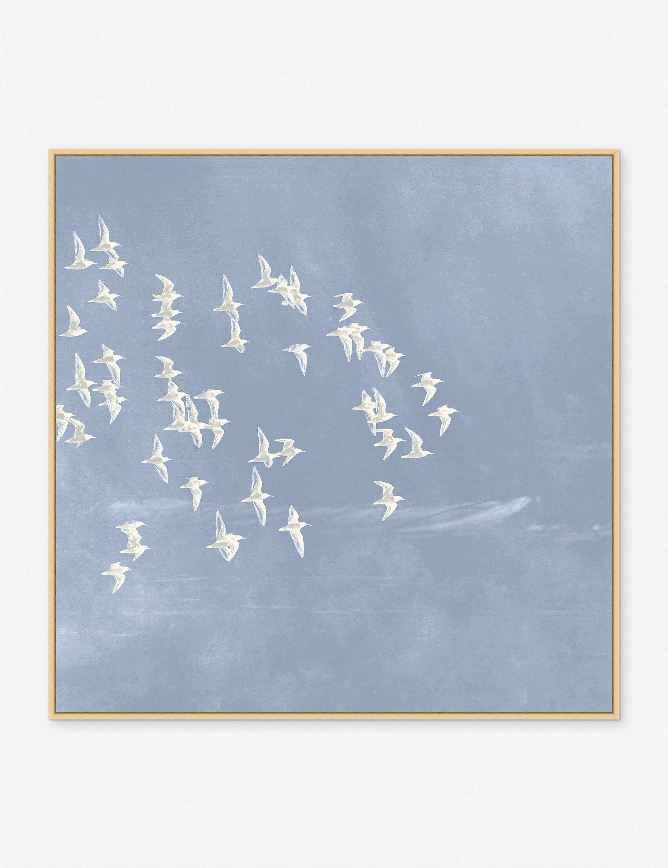 Bela Gallery Print | White Birds on Soft Blue Sky