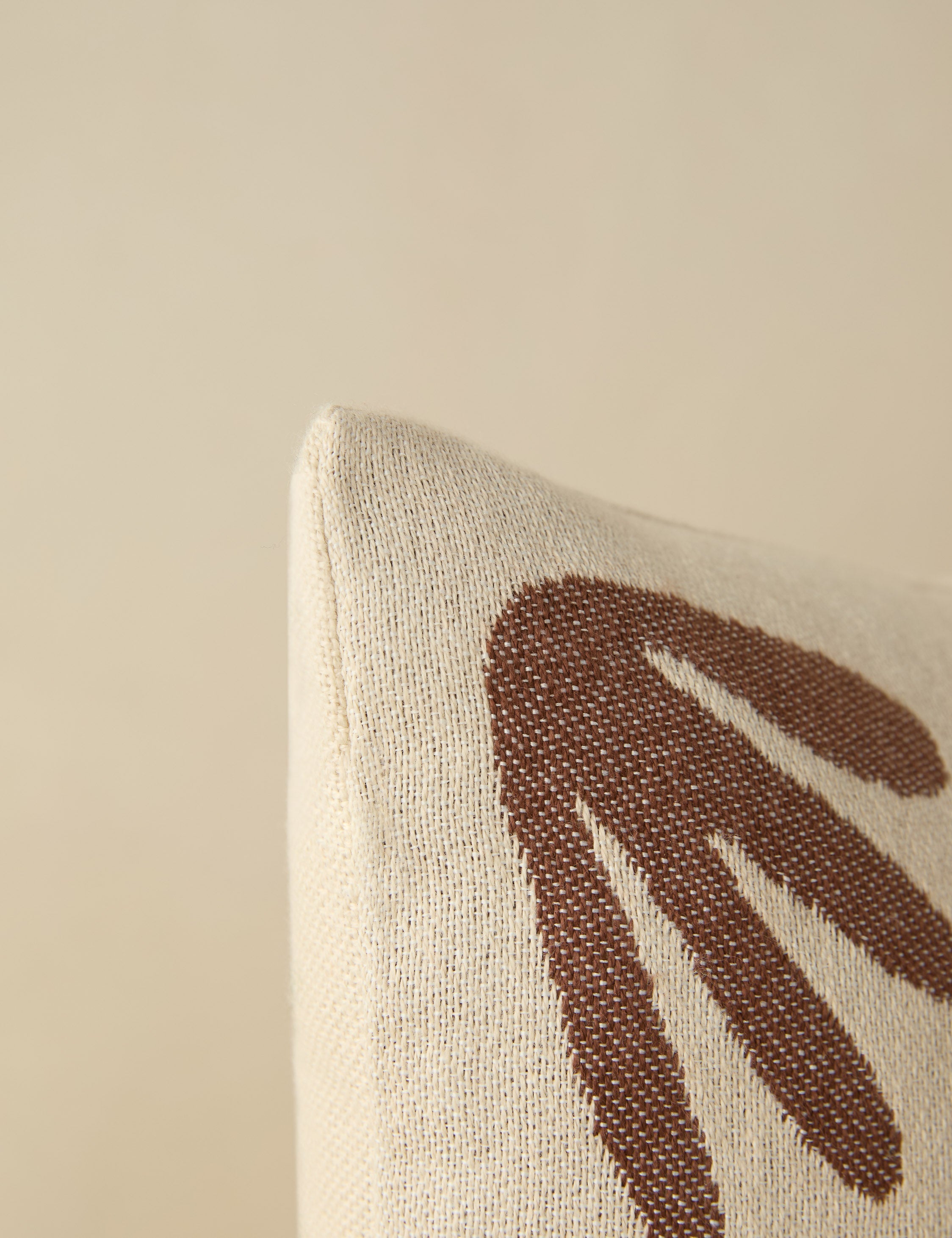 Luna Indoor/Outdoor Pillow | Abstract Minimalist Design, Chic Edge