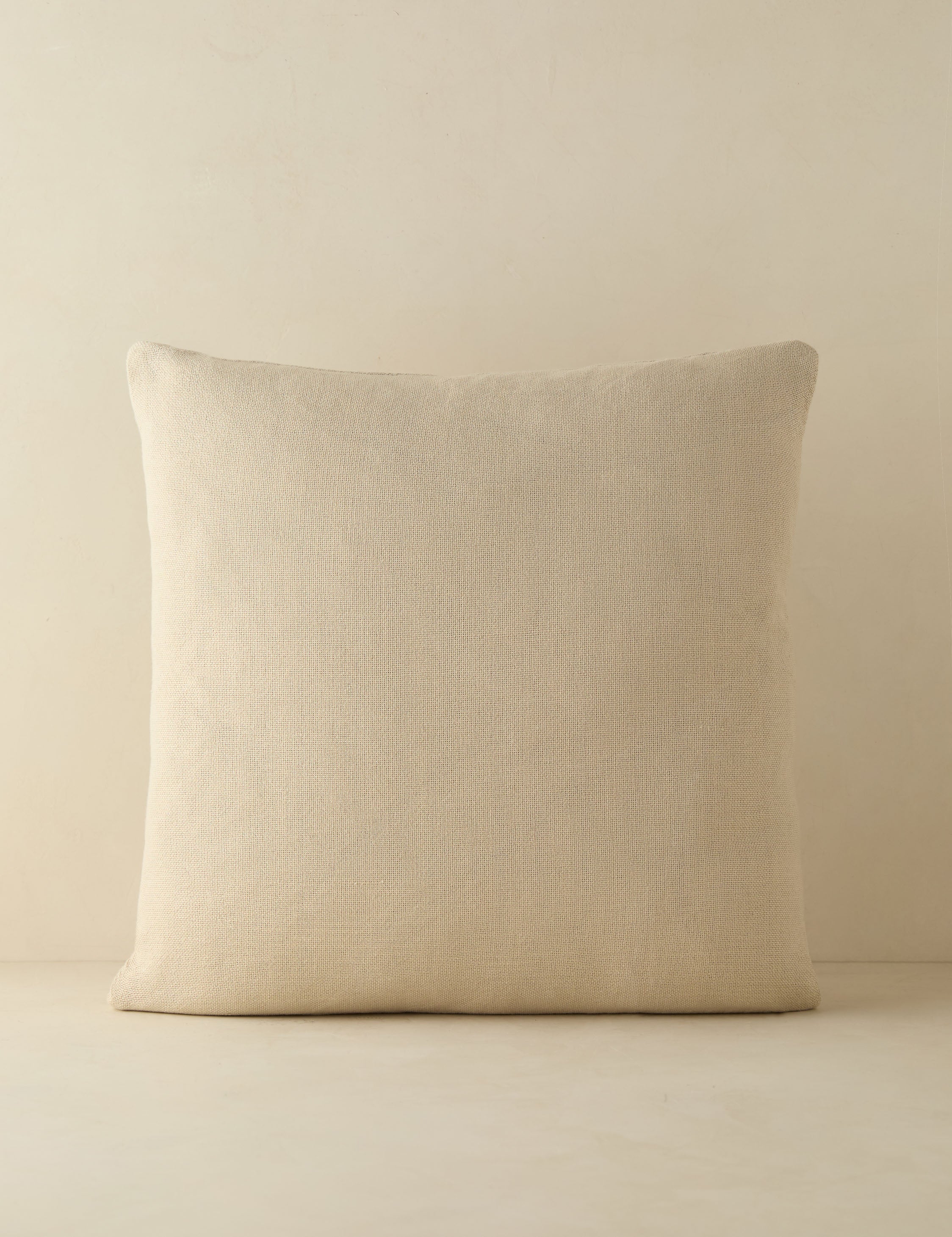 Luna Indoor/Outdoor Pillow | Abstract Minimalist Design, Chic Edge
