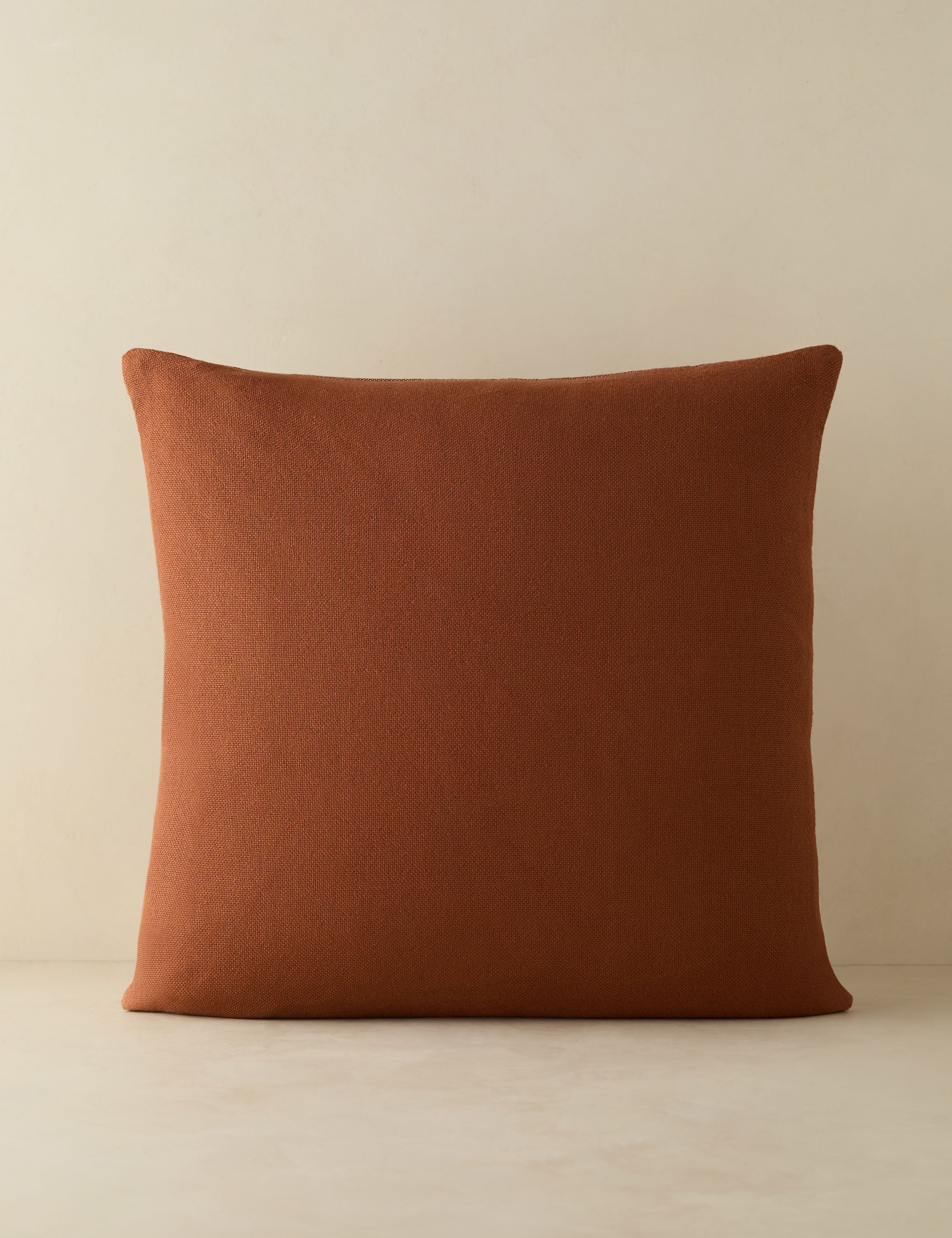 Luna Indoor/Outdoor Pillow | Abstract Minimalist Design, Chic Edge