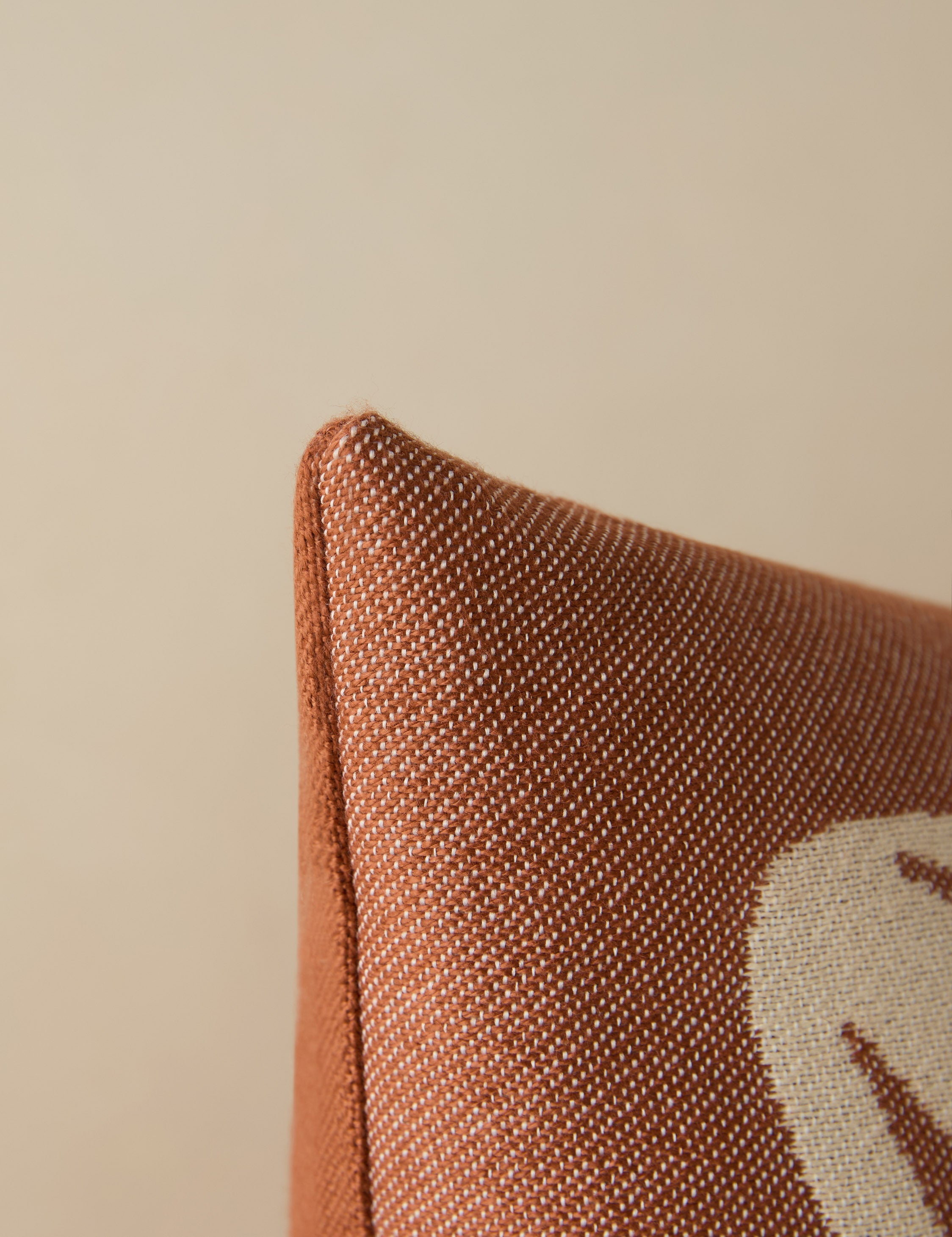 Luna Indoor/Outdoor Pillow | Abstract Minimalist Design, Chic Edge