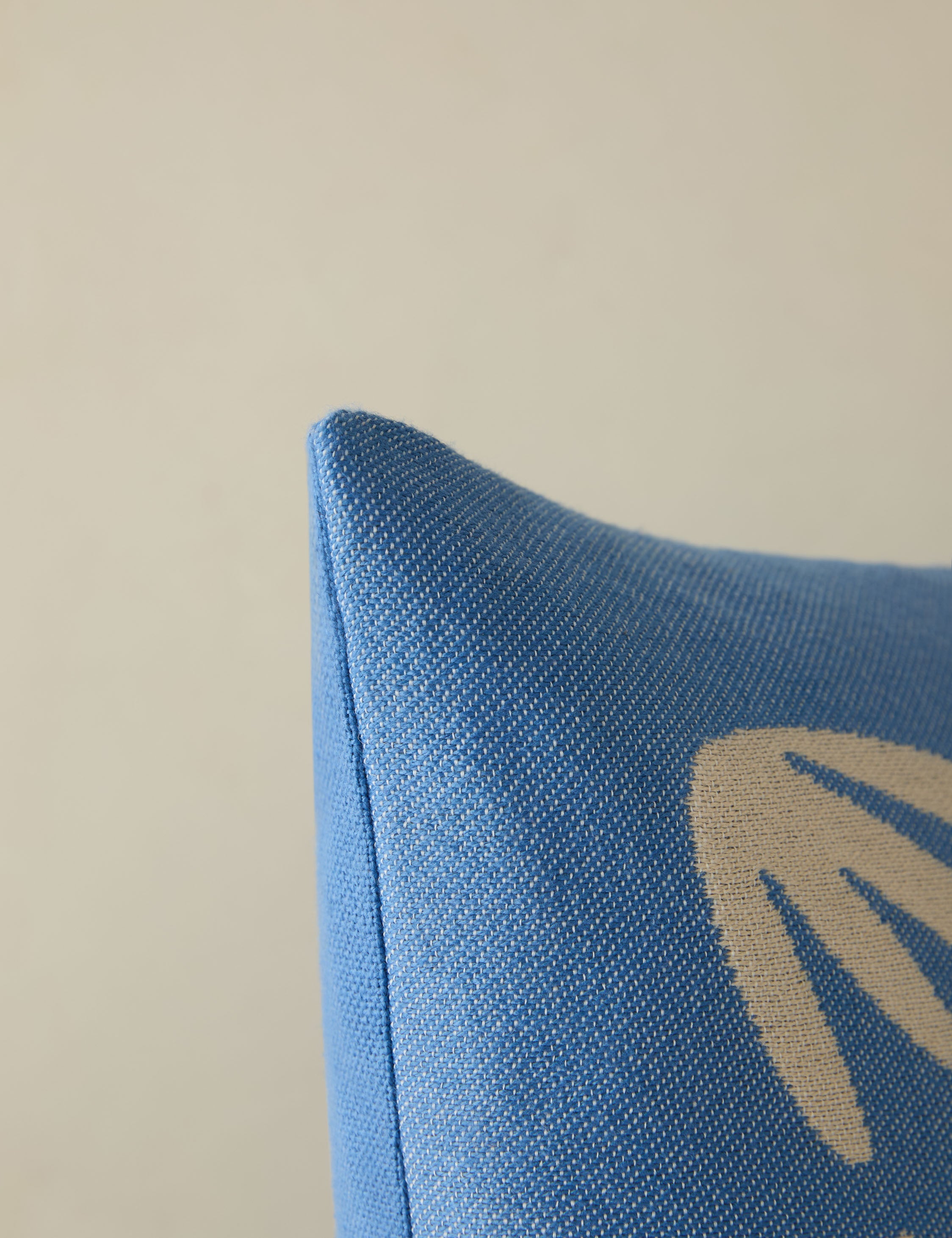 Luna Indoor/Outdoor Pillow | Abstract Minimalist Design, Chic Edge