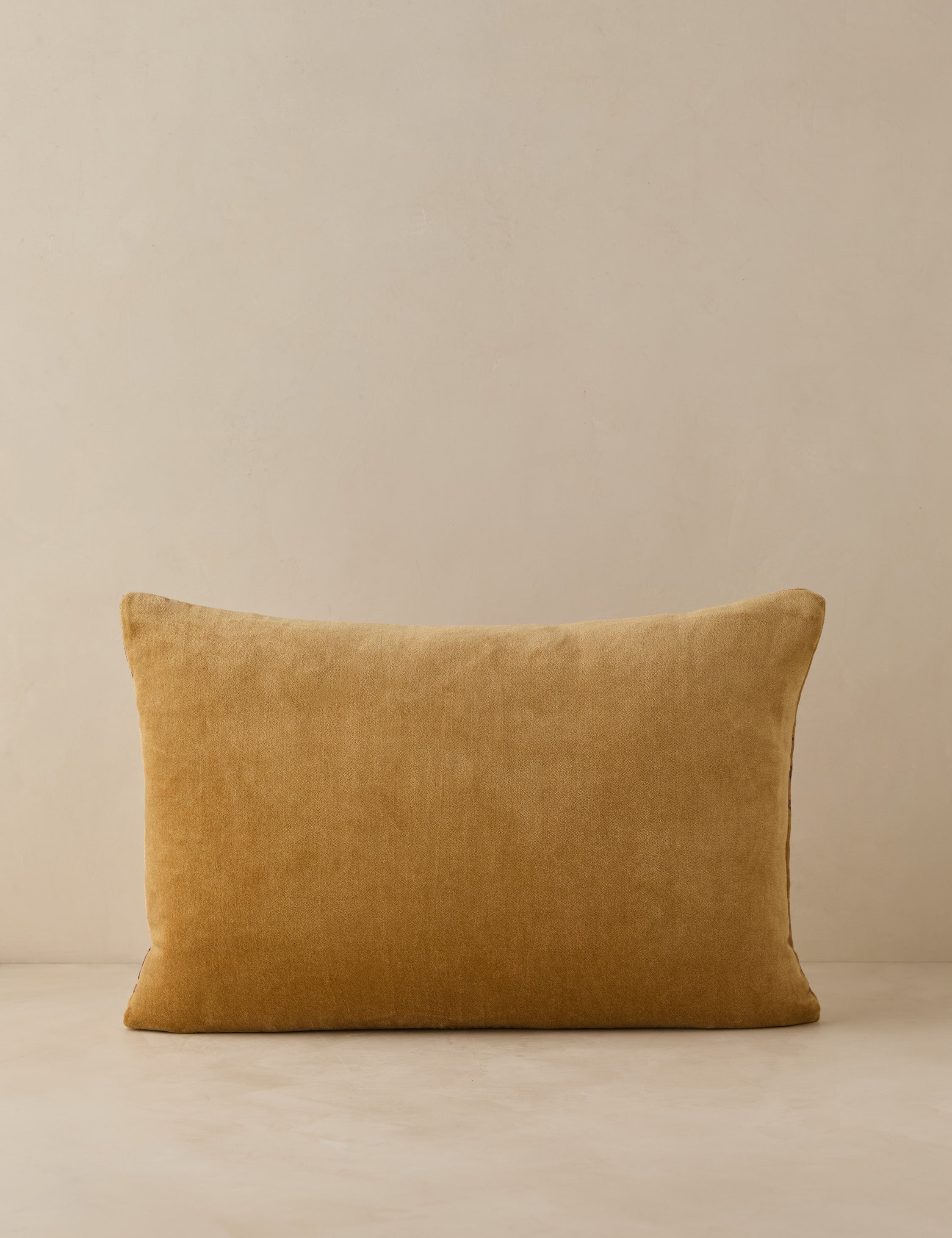 Mira Velvet Pillow | Vintage Florals, Rich Texture