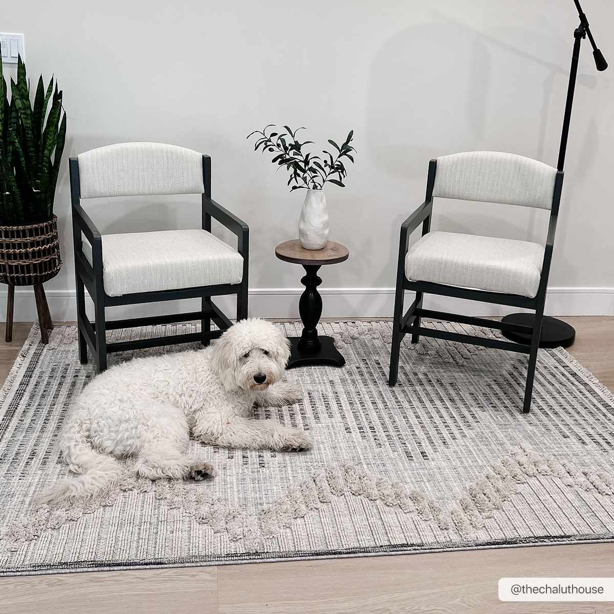 Milo High-Low Rustic Rug  Machine Woven  100% Polyester