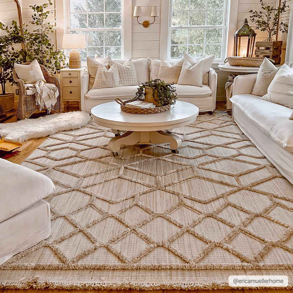 Mira Malilinao Area Rug  Machine Woven, High Pile Polyester