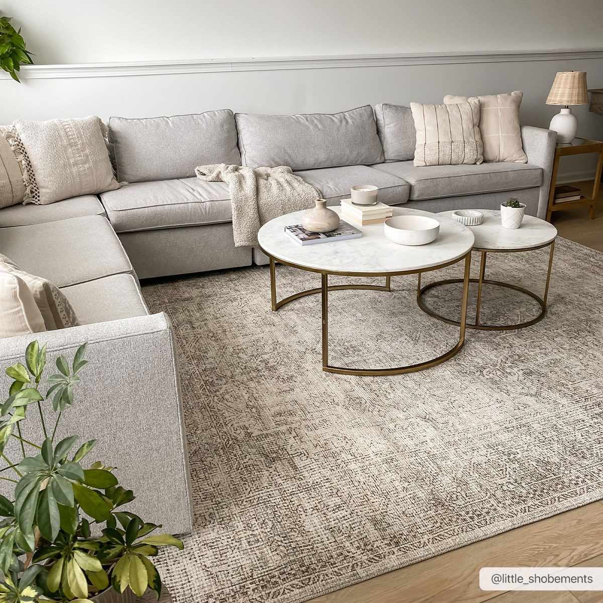 Bela Area Rug  Machine Woven  Medium Pile, 100% Polyester