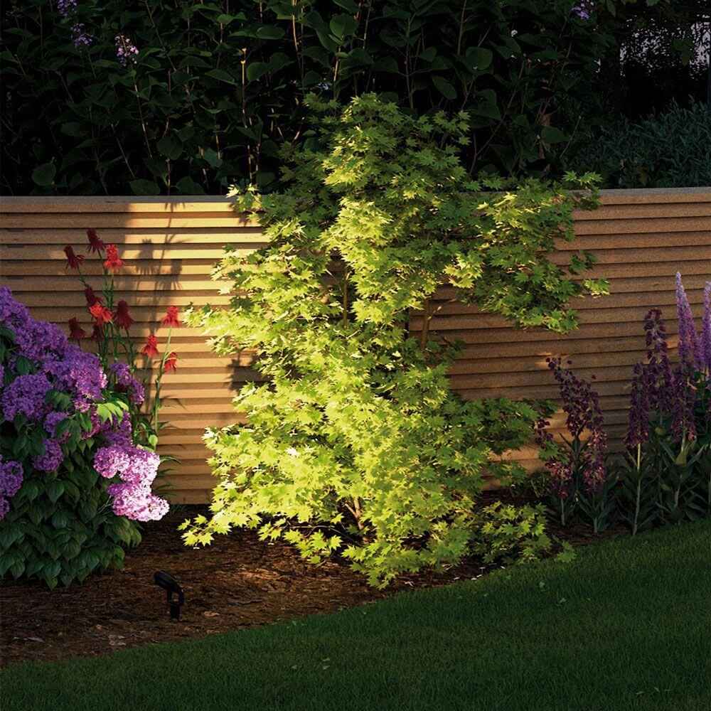 Bela LED Outdoor Spotlight | 100° Beam Angle, Warm White 3000K