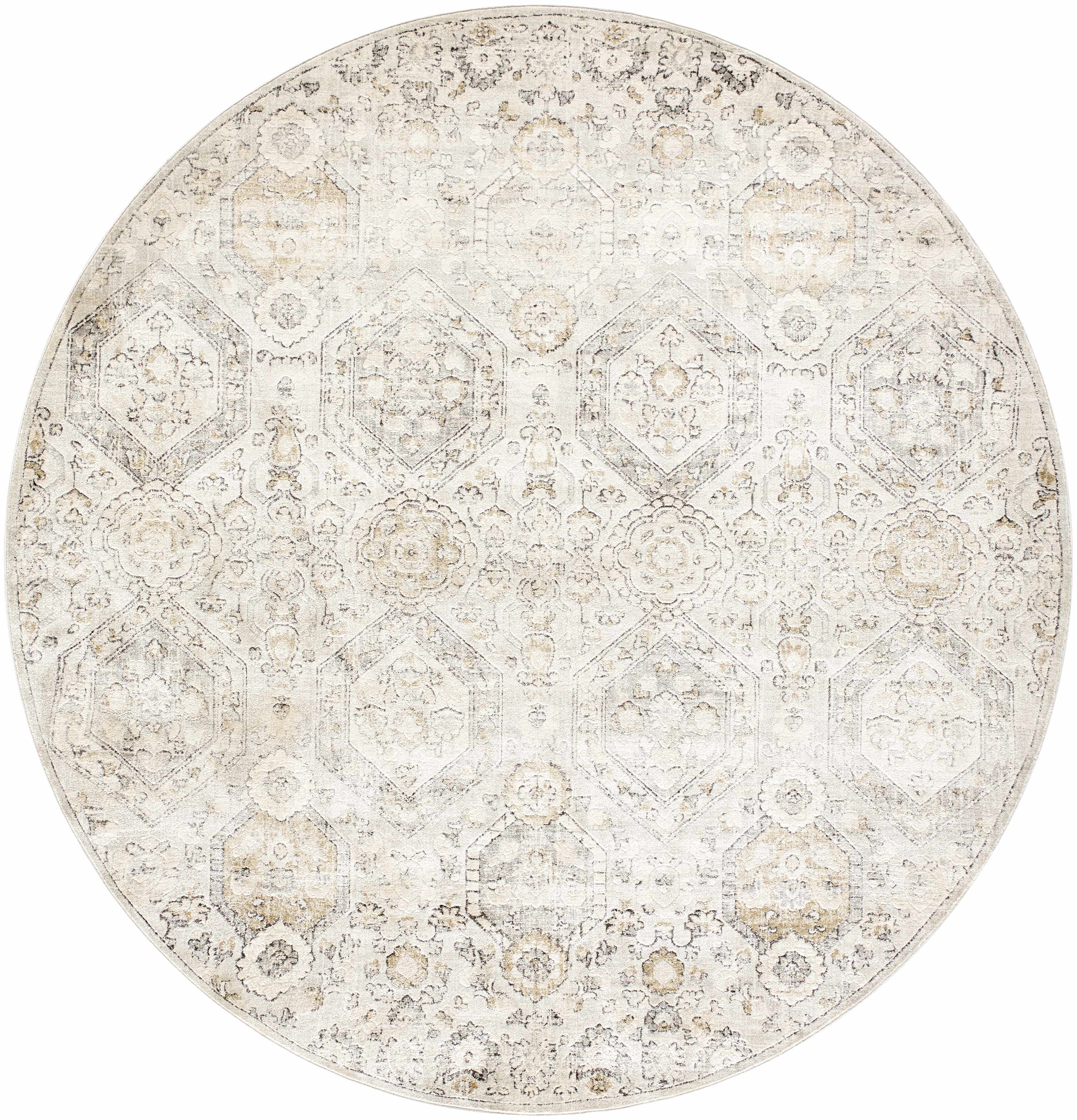Paxley Area Rug  Moroccan Style, Medium Pile Polypropylene