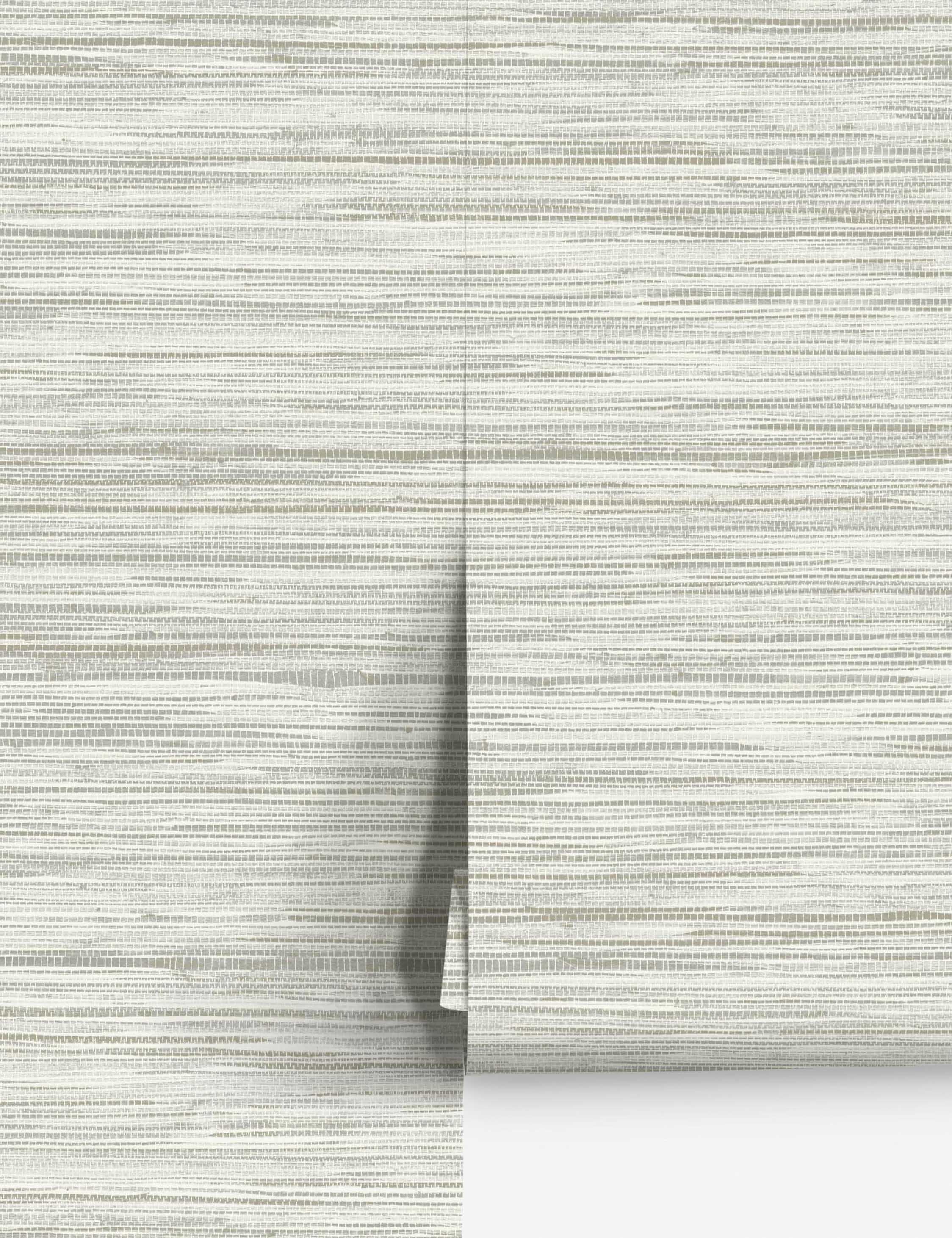 Bahiagrass Premium Peel + Stick Wallpaper