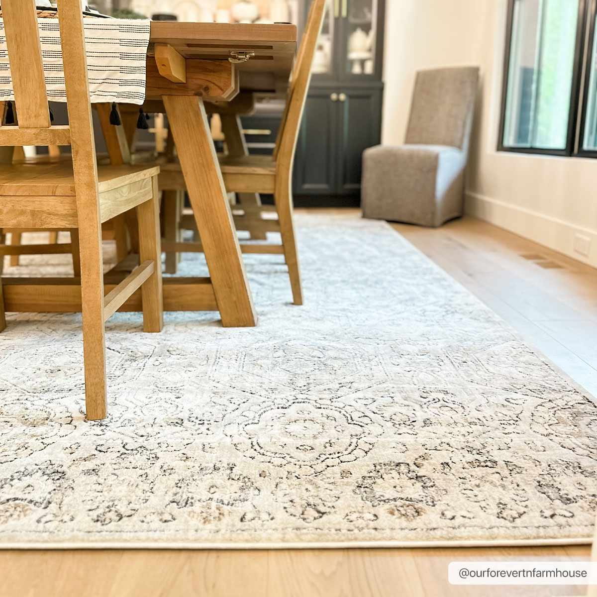 Paxley Area Rug  Moroccan Style, Medium Pile Polypropylene