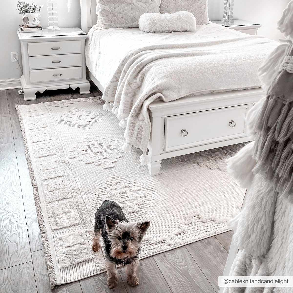 Rivo High-Low Rug  Machine Woven  Transitional Bohemian Style