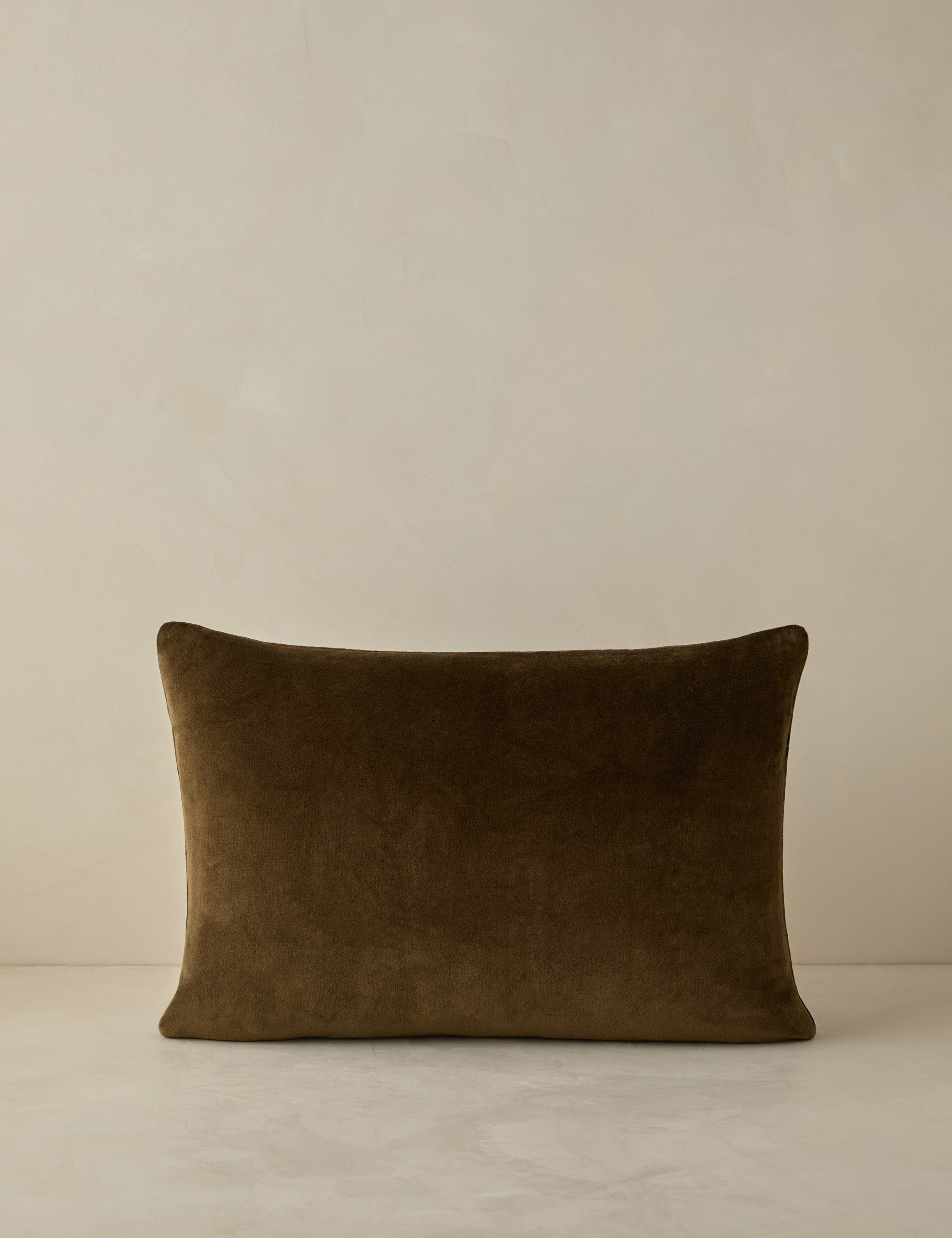 Riva Velvet Pillow | Floral Print, Rich Palette