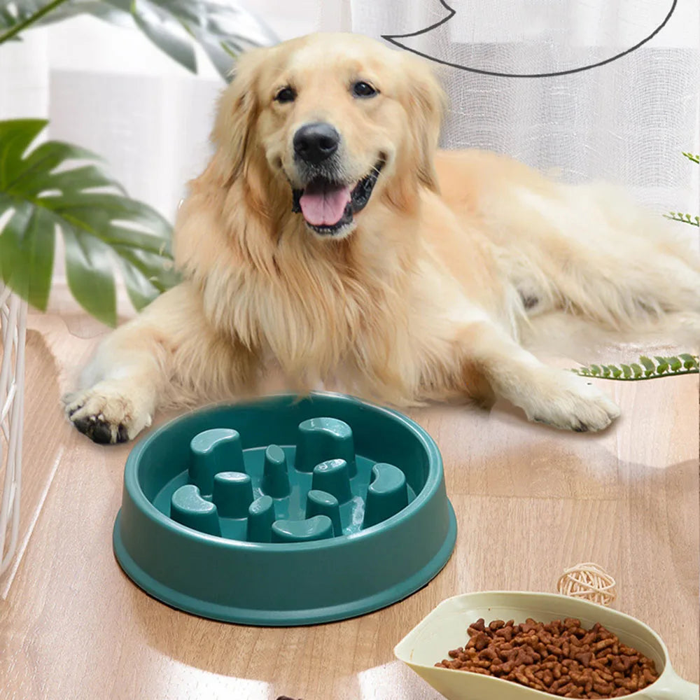 Belo Maze Bowl | Anti-Schrok Design, BPA-Free