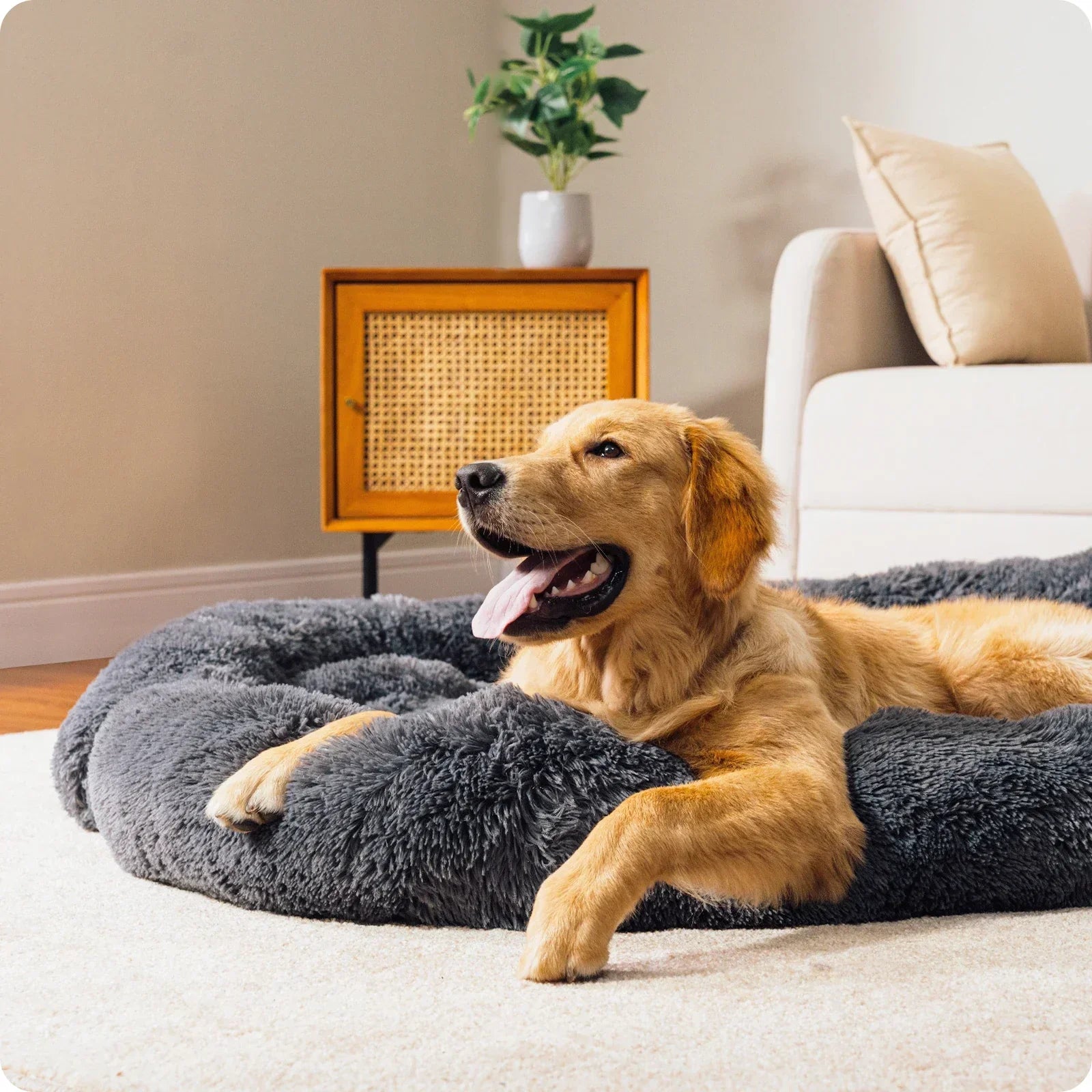Aero Dog Bed | Modular Design & Washable Anti-Slip