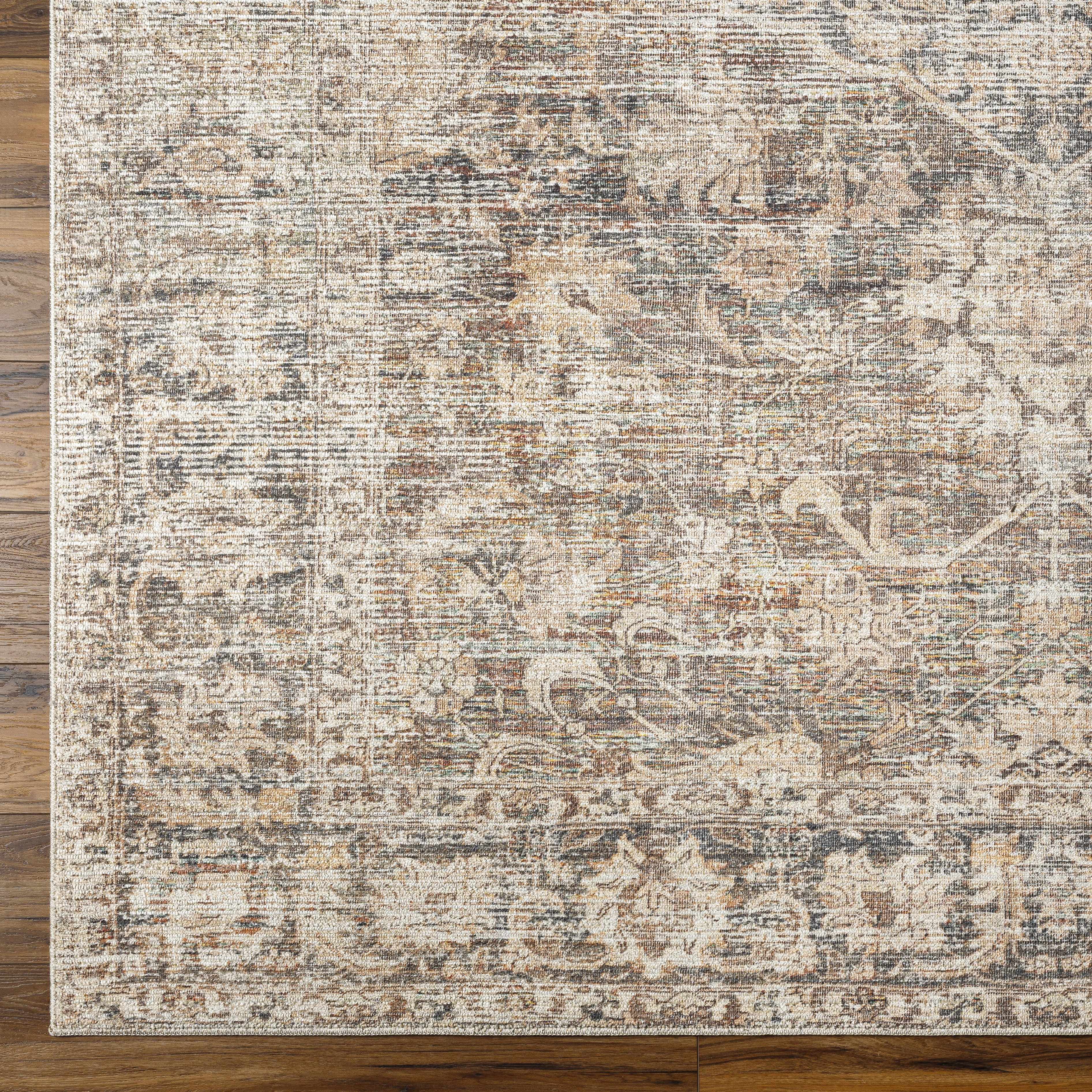 Bela Area Rug  Machine Woven  Traditional Style  Dark Multi