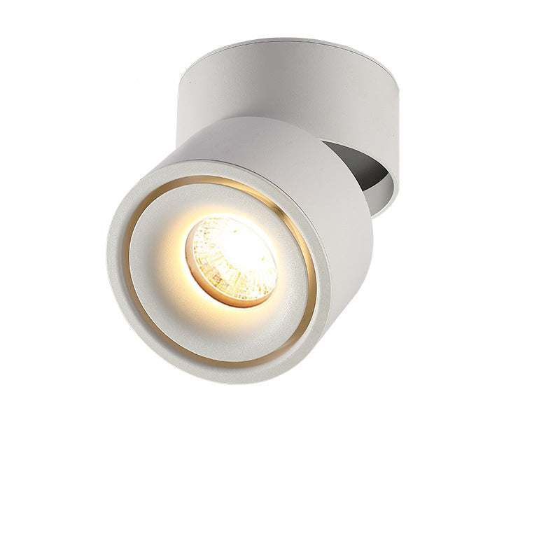 Contemporary Adjustable Aluminum LED Flush Mount Ceiling Light for Living Room
