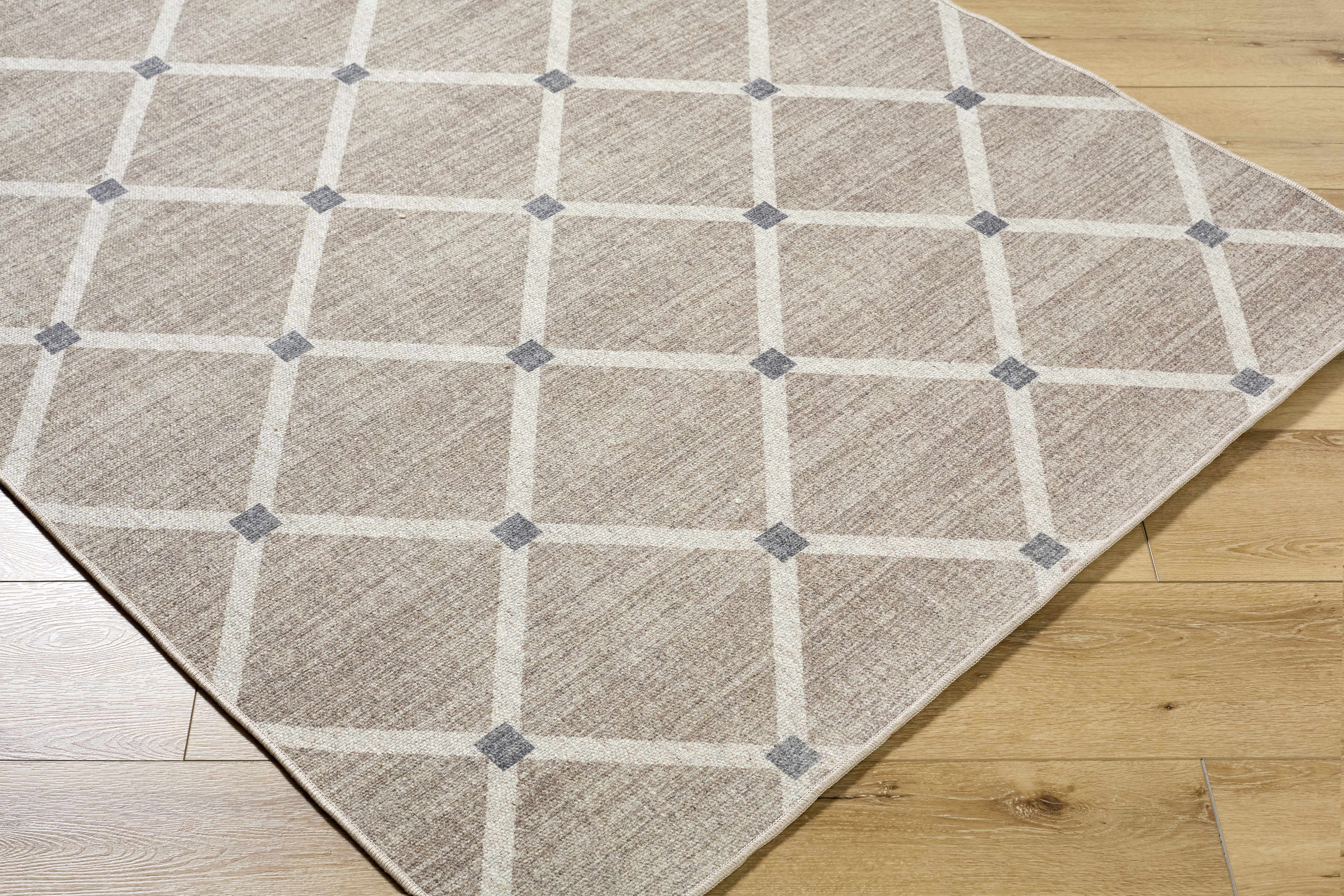 Alpina Area Rug Hand Woven Wool Machine Washable Low Pile