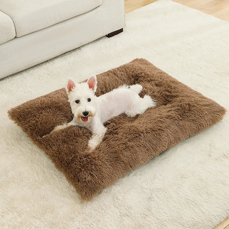 Cleo Hondenbed | Extra Zacht Pluche, 100% Katoen