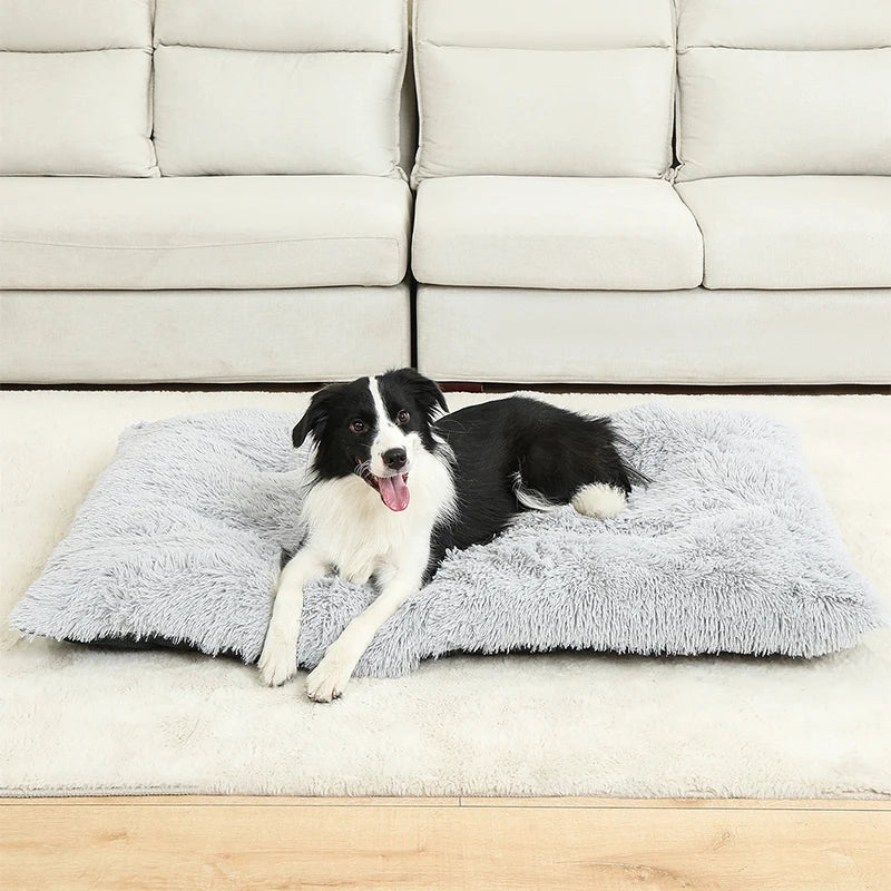 Cleo Hondenbed | Extra Zacht Pluche, 100% Katoen