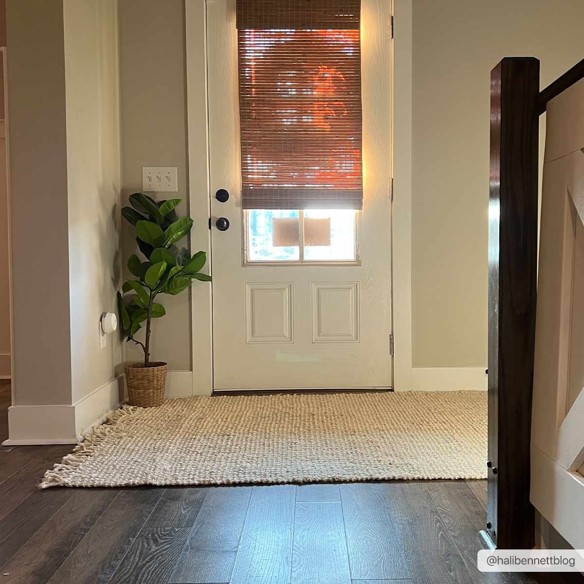 Bela Jute Rug  Hand Woven  Cream Color  Medium Pile