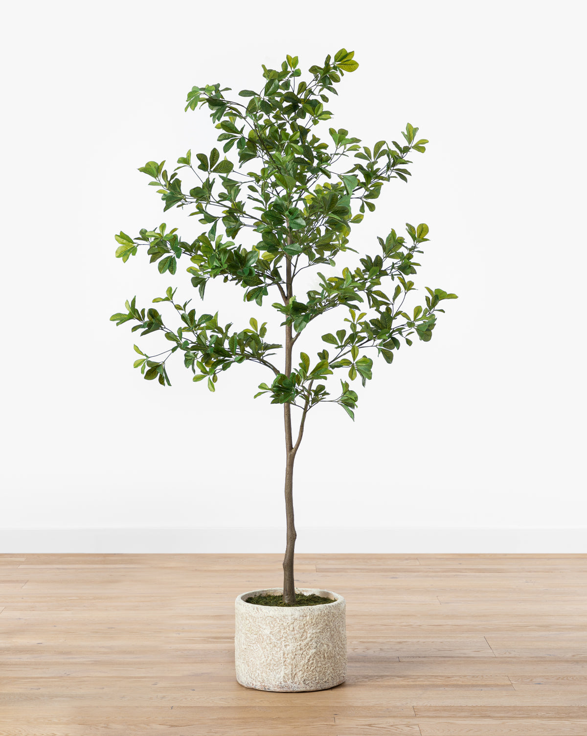 Lush Shady Lady Faux Tree  Ceramic Pot with Green Leaves